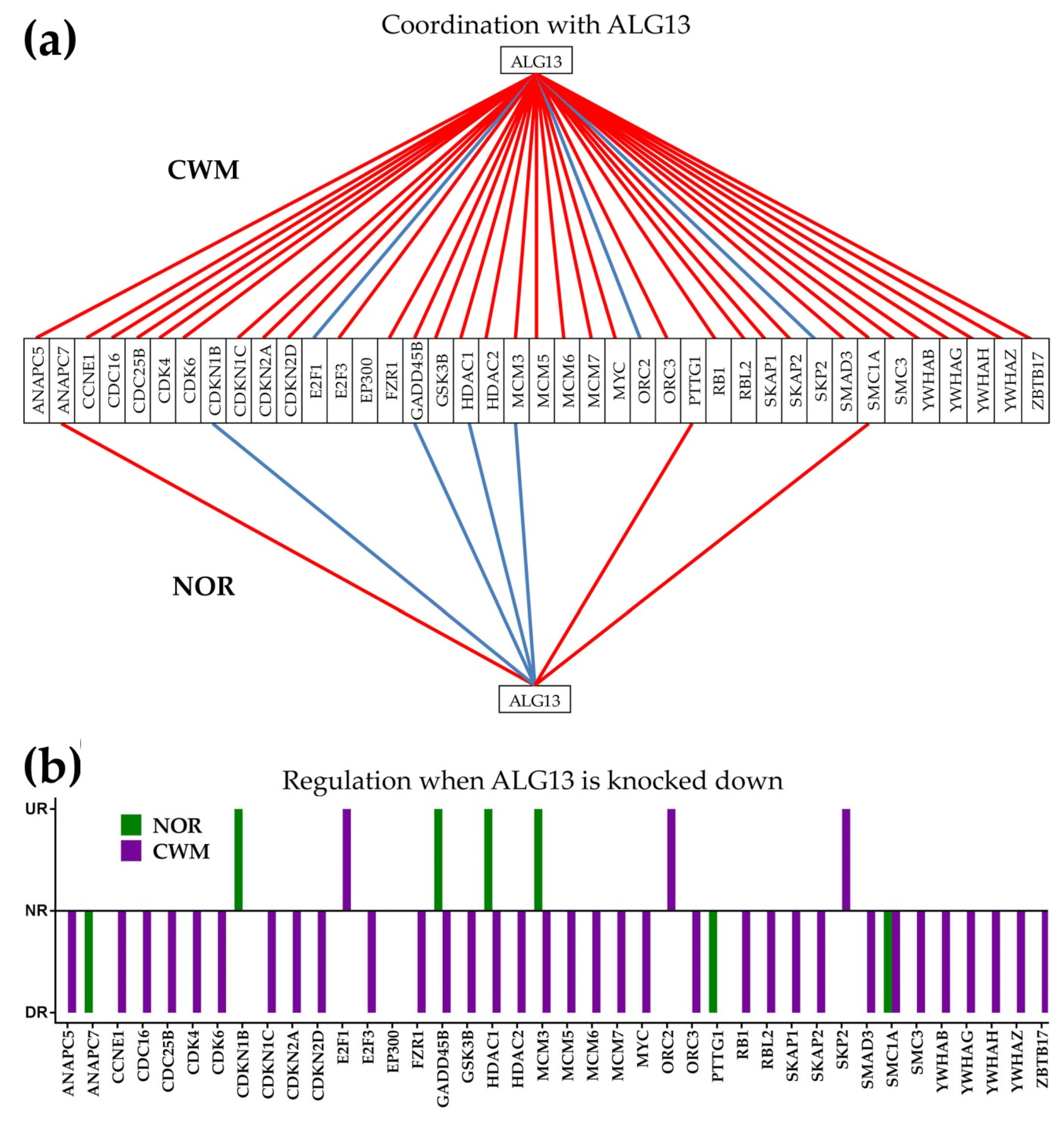 Cancers 12 03678 g008