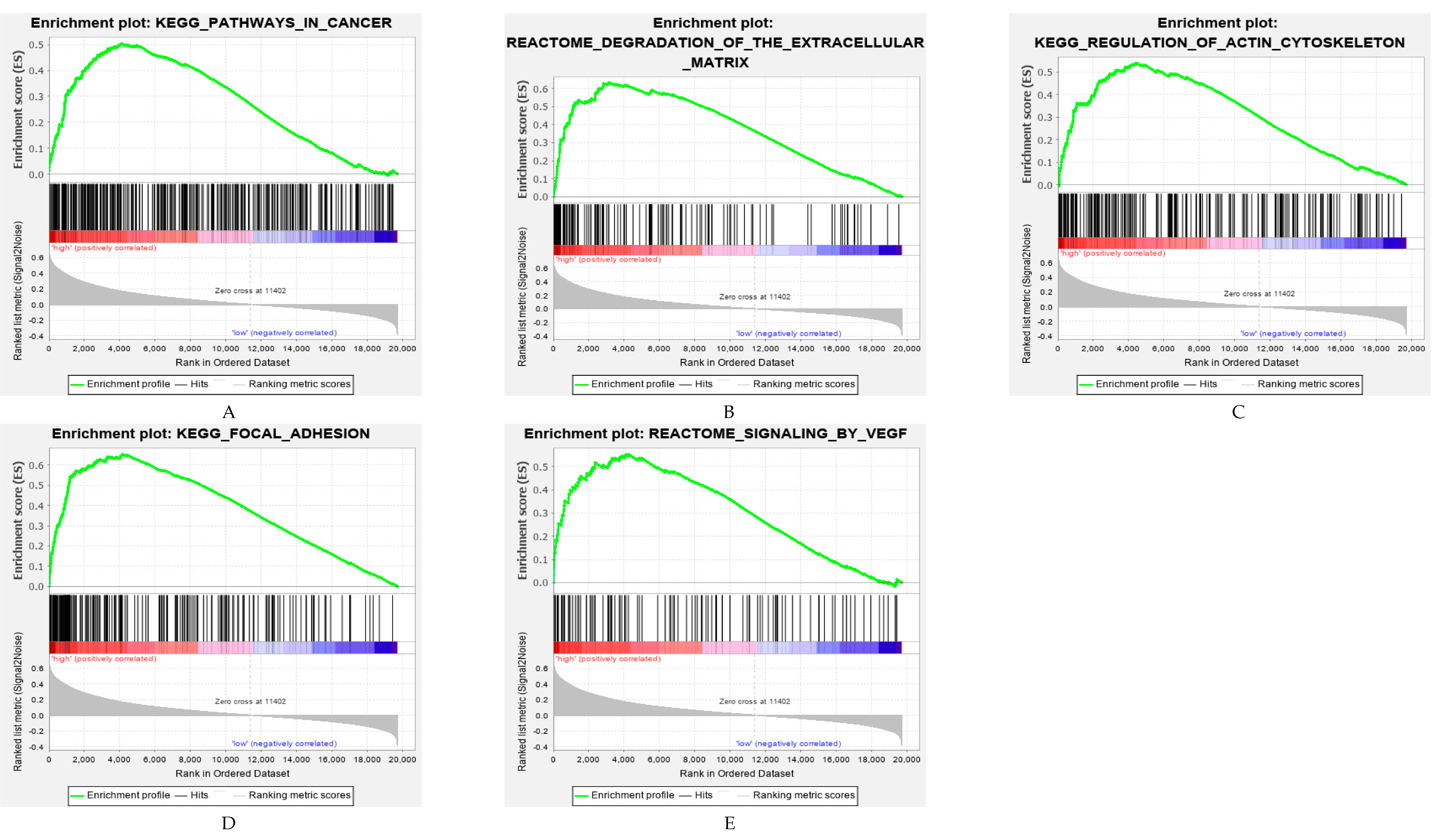 Cancers 12 03685 g008