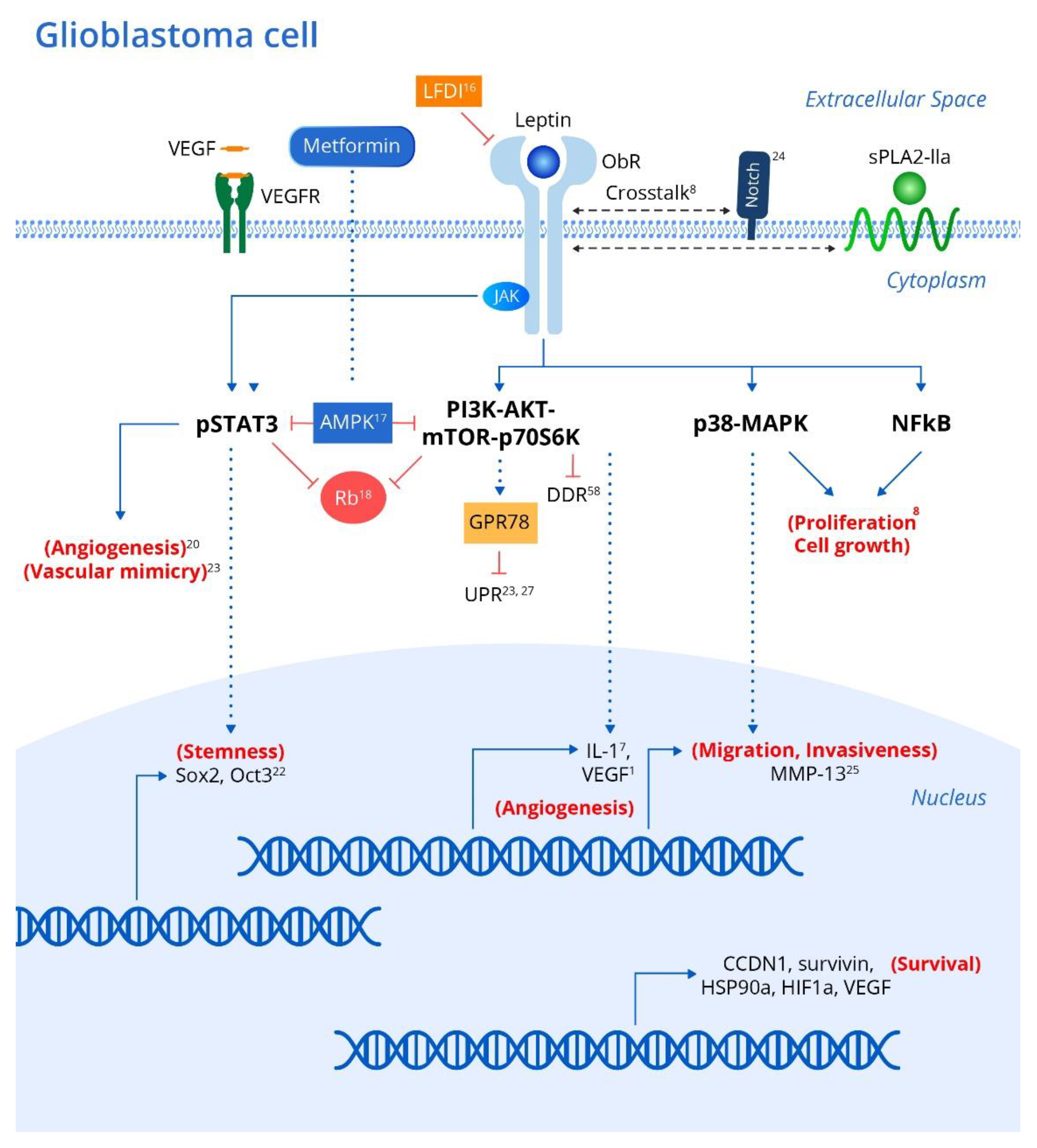 Cancers 12 03691 g001