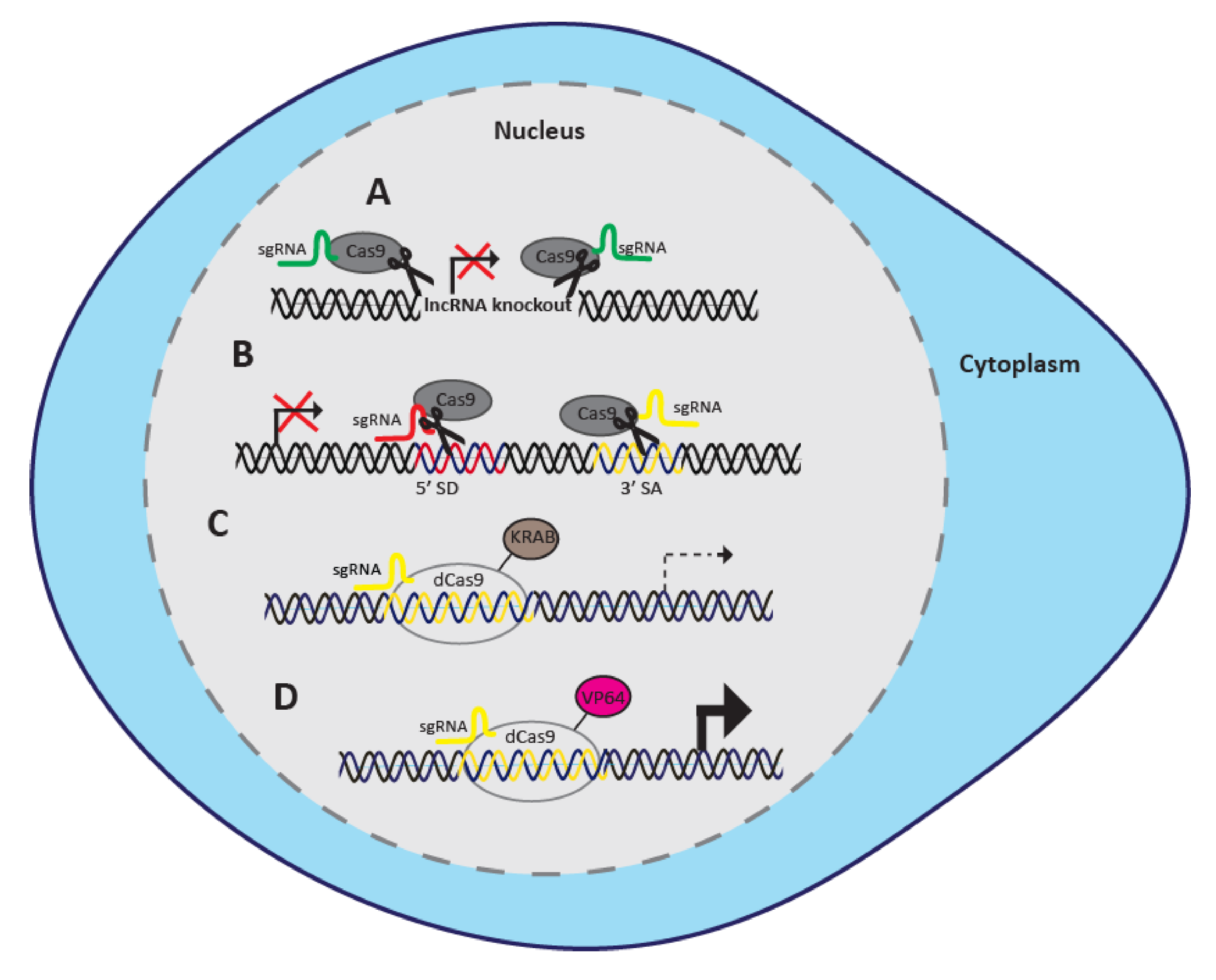 Cancers 12 03695 g001 Cancers 12 03695 g001