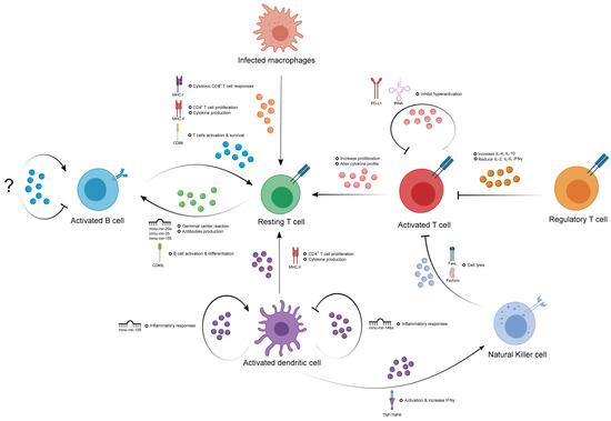 Cancers Free Full Text Extracellular Vesicles Orchestrate Immune