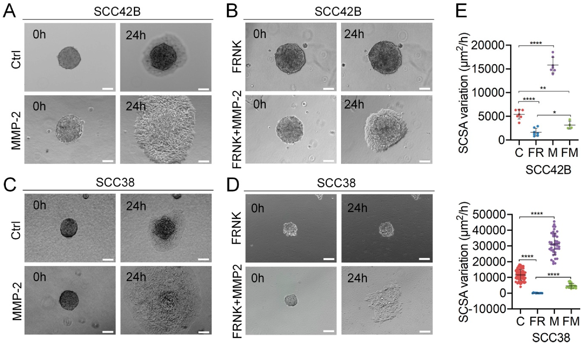 Cancers 12 03708 g004 Cancers 12 03708 g004