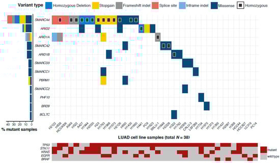 Cancers Free Full Text Comprehensive Analysis Of Swi Snf Inactivation In Lung Adenocarcinoma Cell Models Html