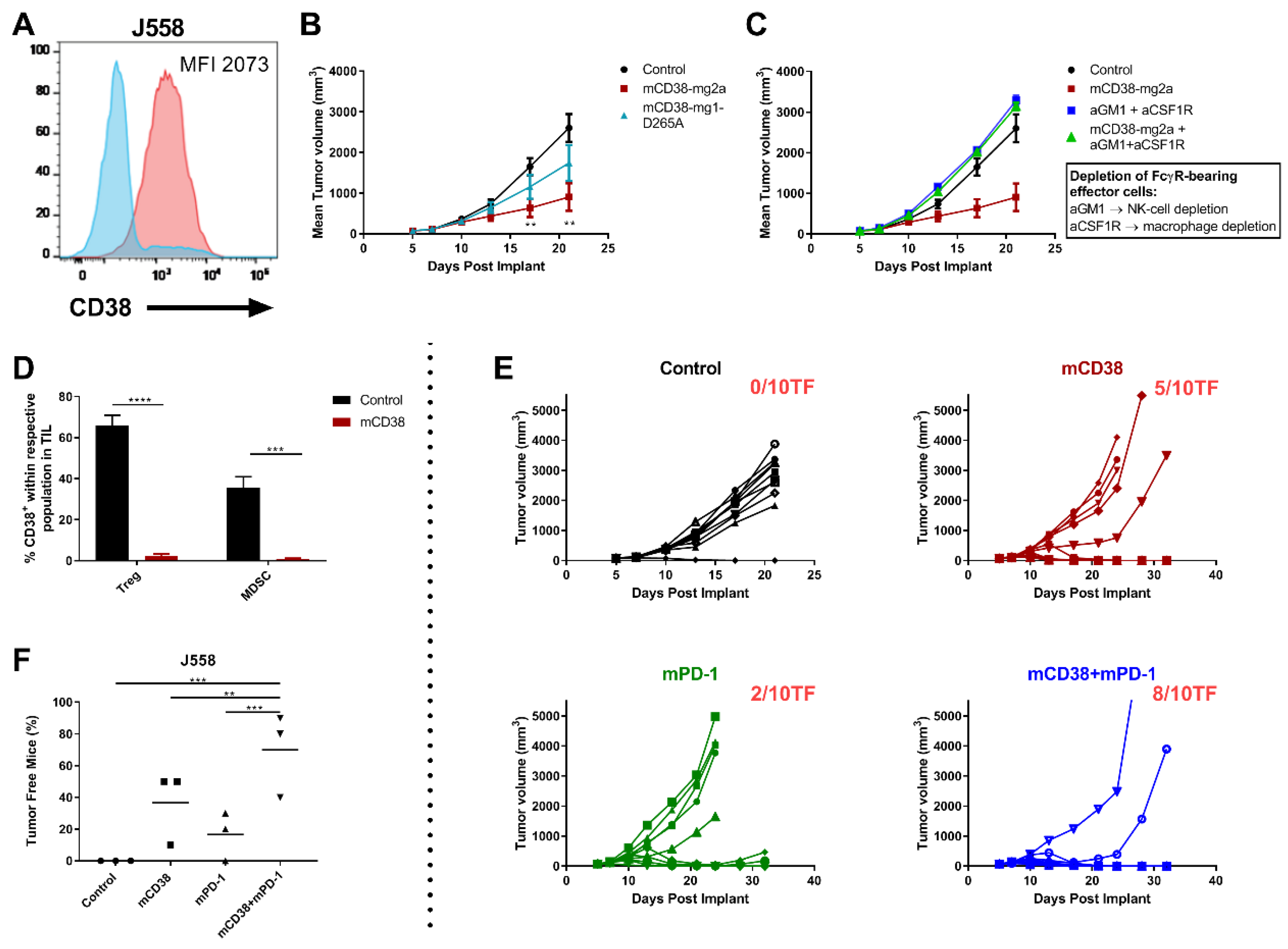 Cancers 12 03713 g004 Cancers 12 03713 g004