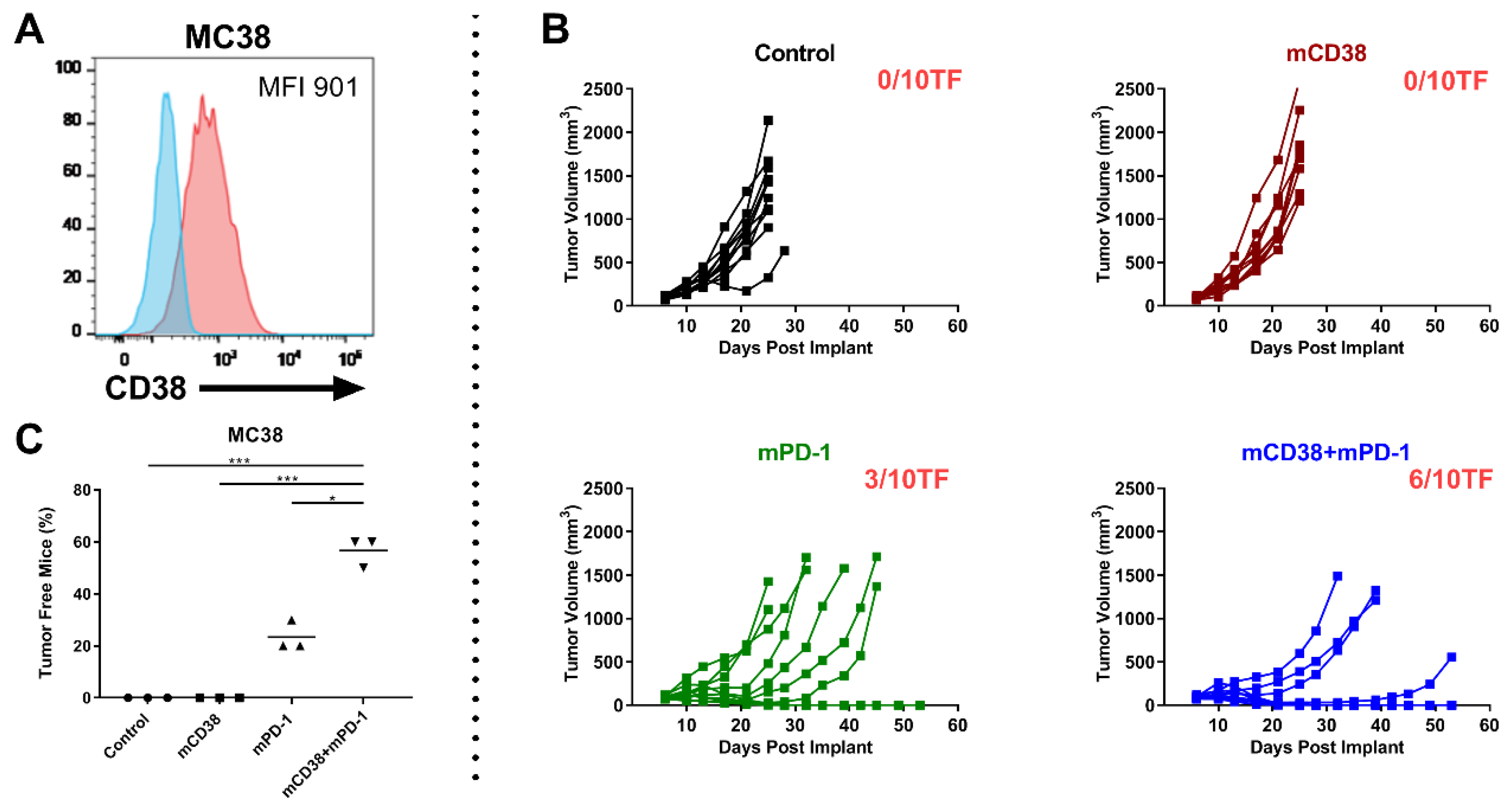 Cancers 12 03713 g005 Cancers 12 03713 g005