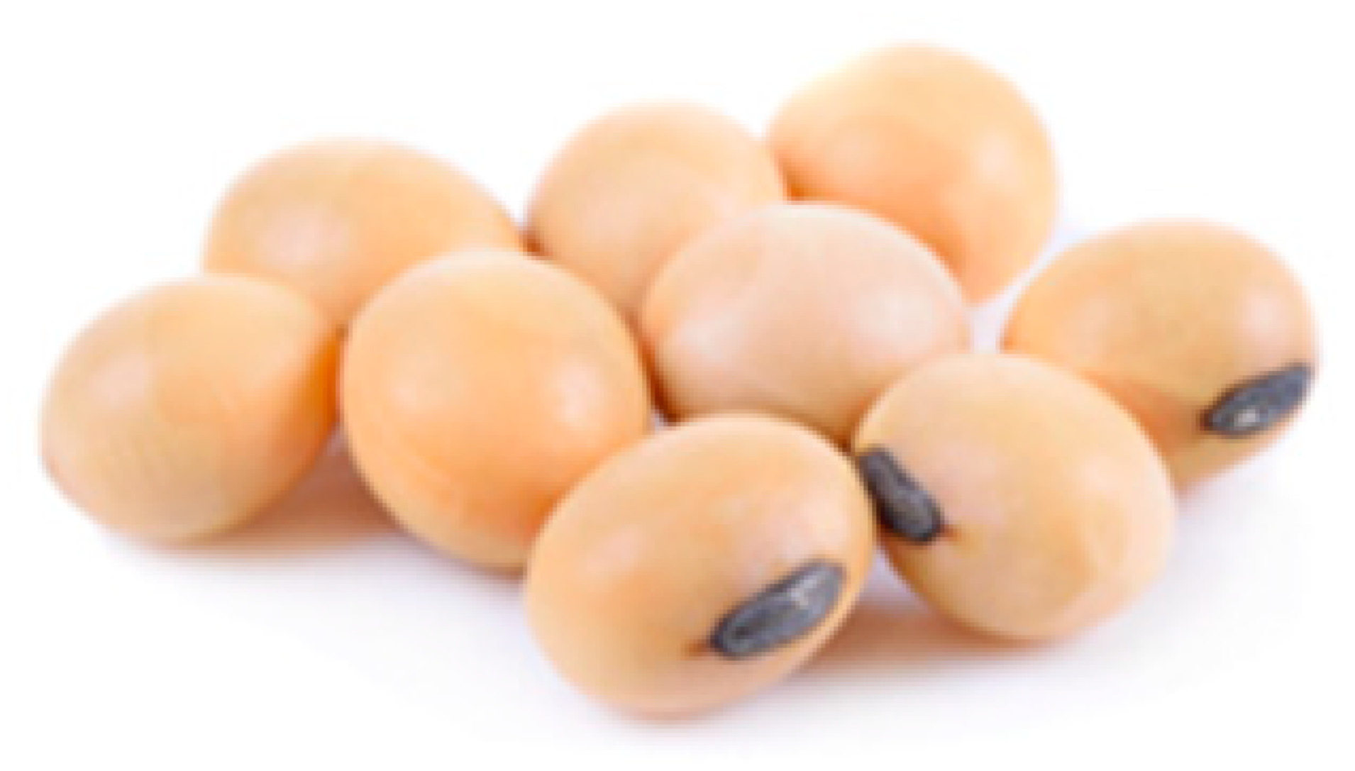 Cancers 12 03714 i002 Cancers 12 03714 i002