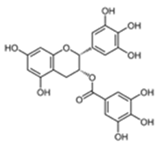 Cancers 12 03714 i003 Cancers 12 03714 i003