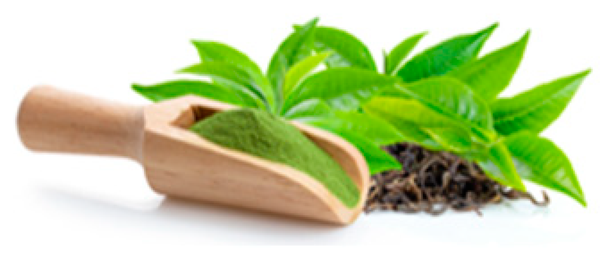 Cancers 12 03714 i004 Cancers 12 03714 i004