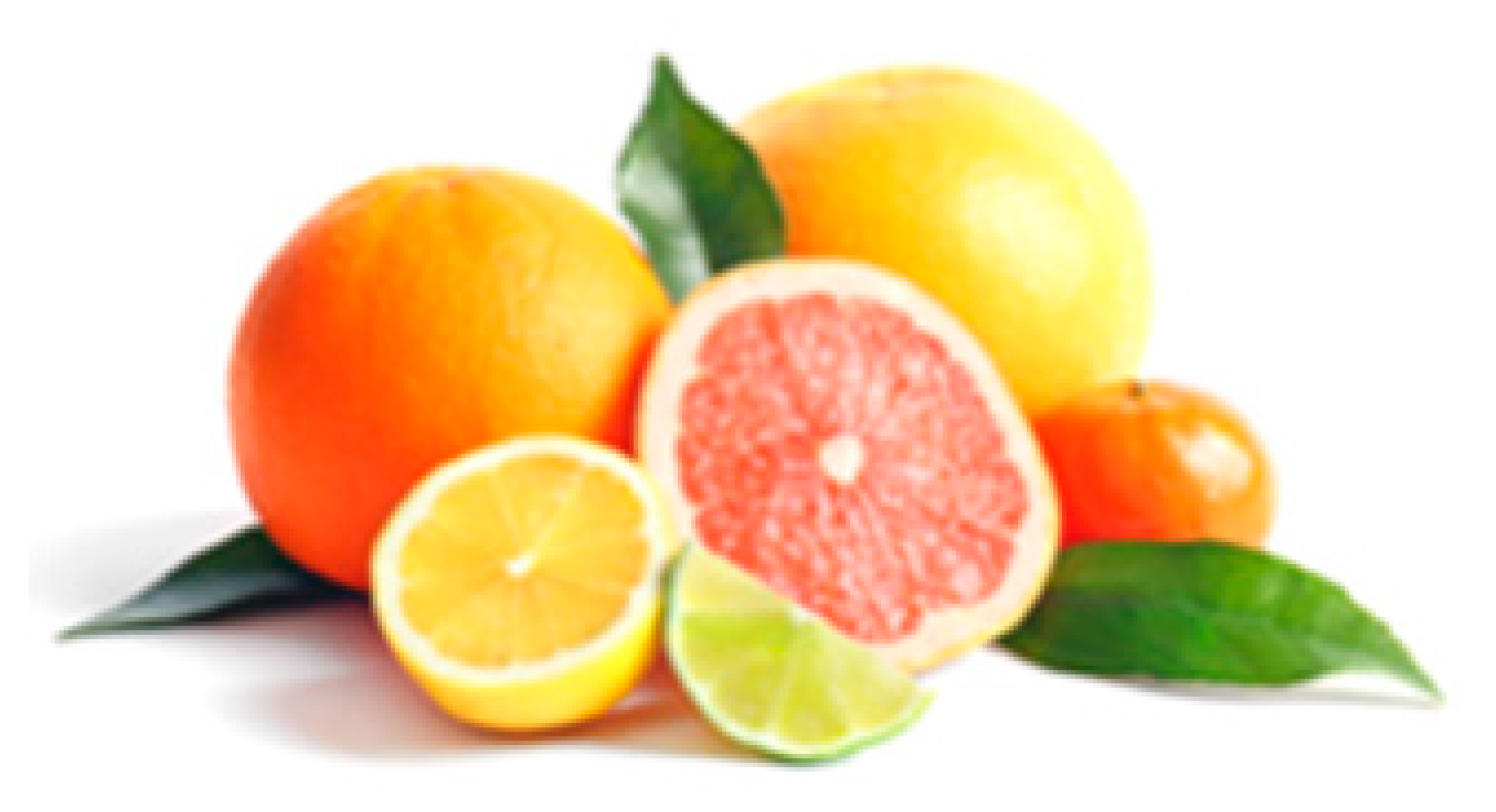 Cancers 12 03714 i010 Cancers 12 03714 i010