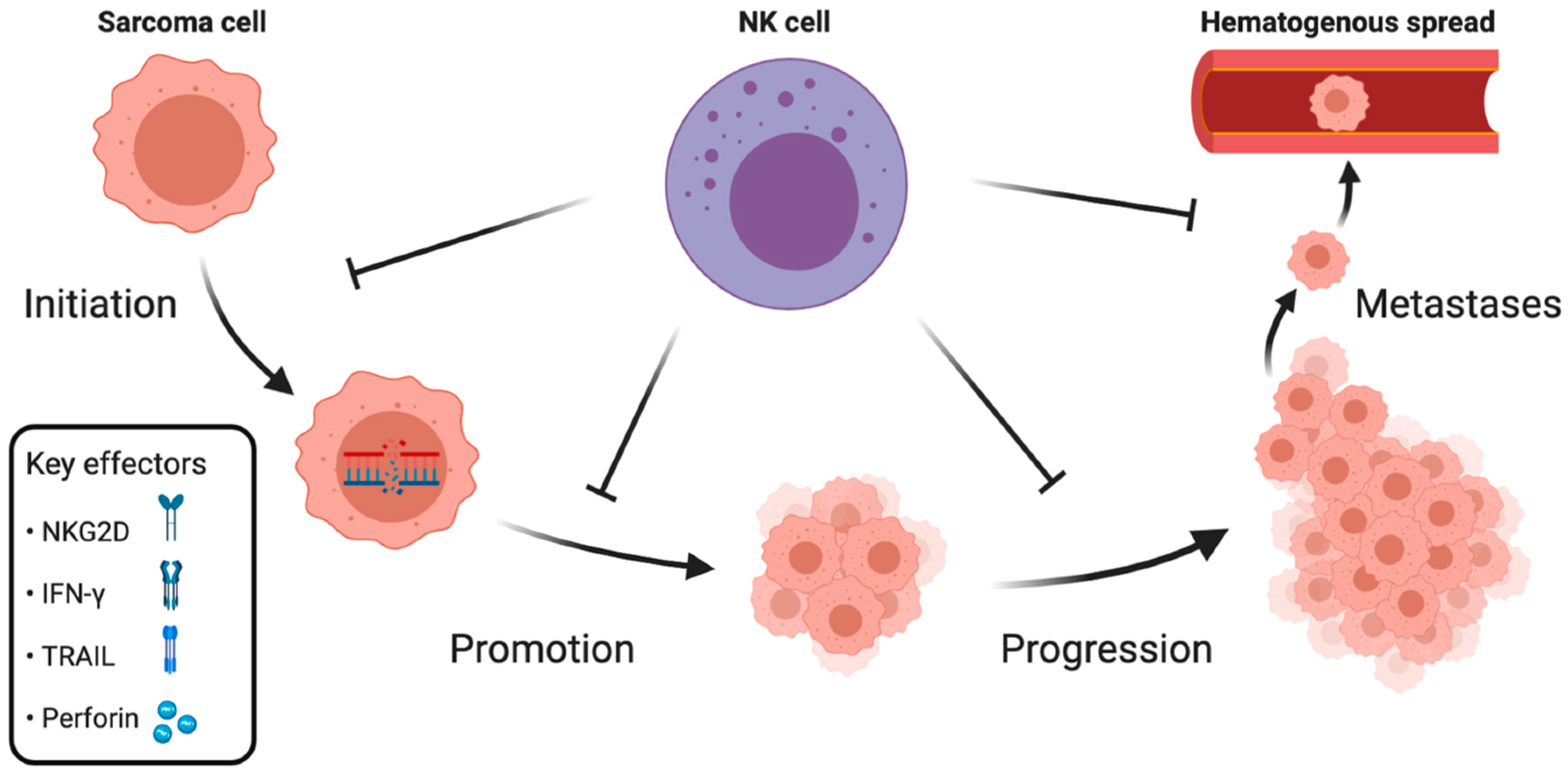 Cancers 12 03719 g001 Cancers 12 03719 g001