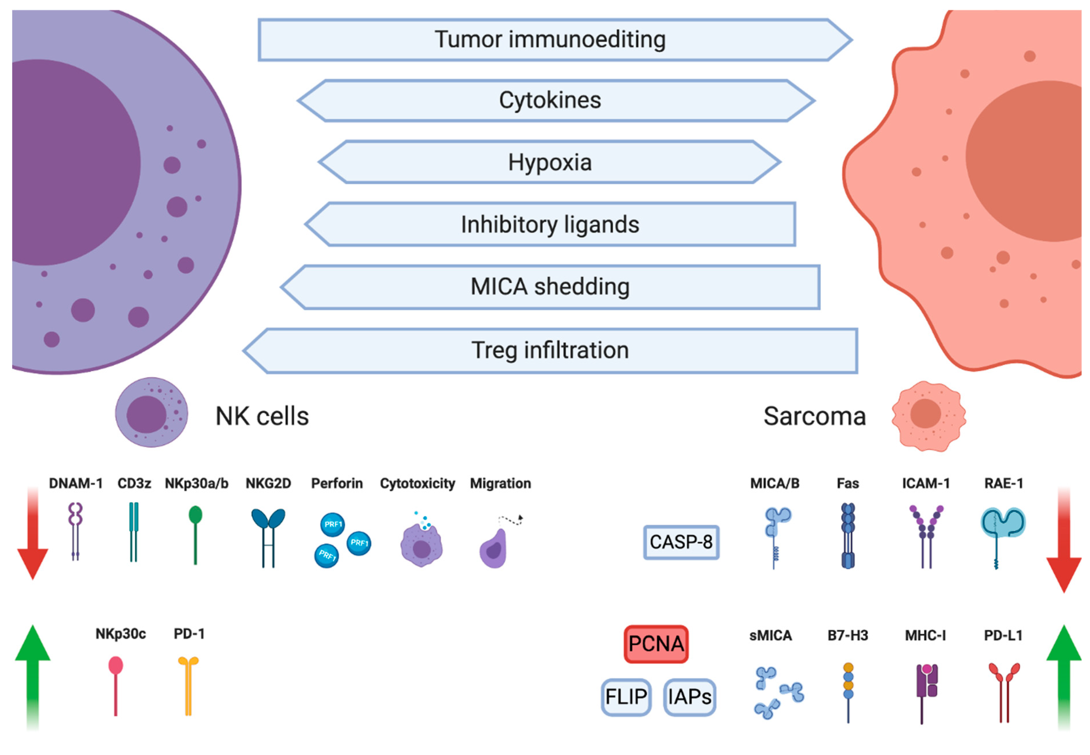 Cancers 12 03719 g002 Cancers 12 03719 g002