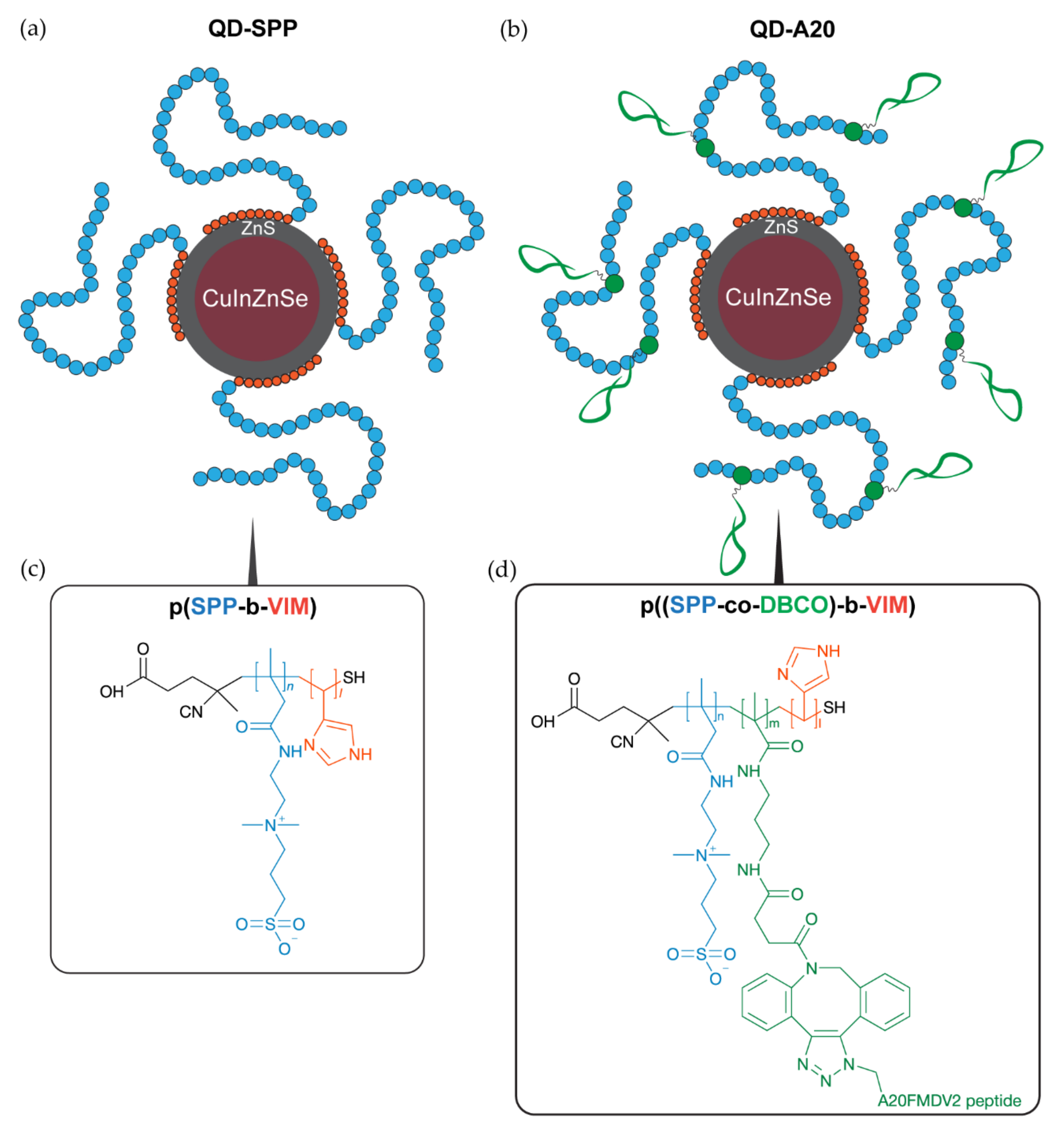 Cancers 12 03727 g001