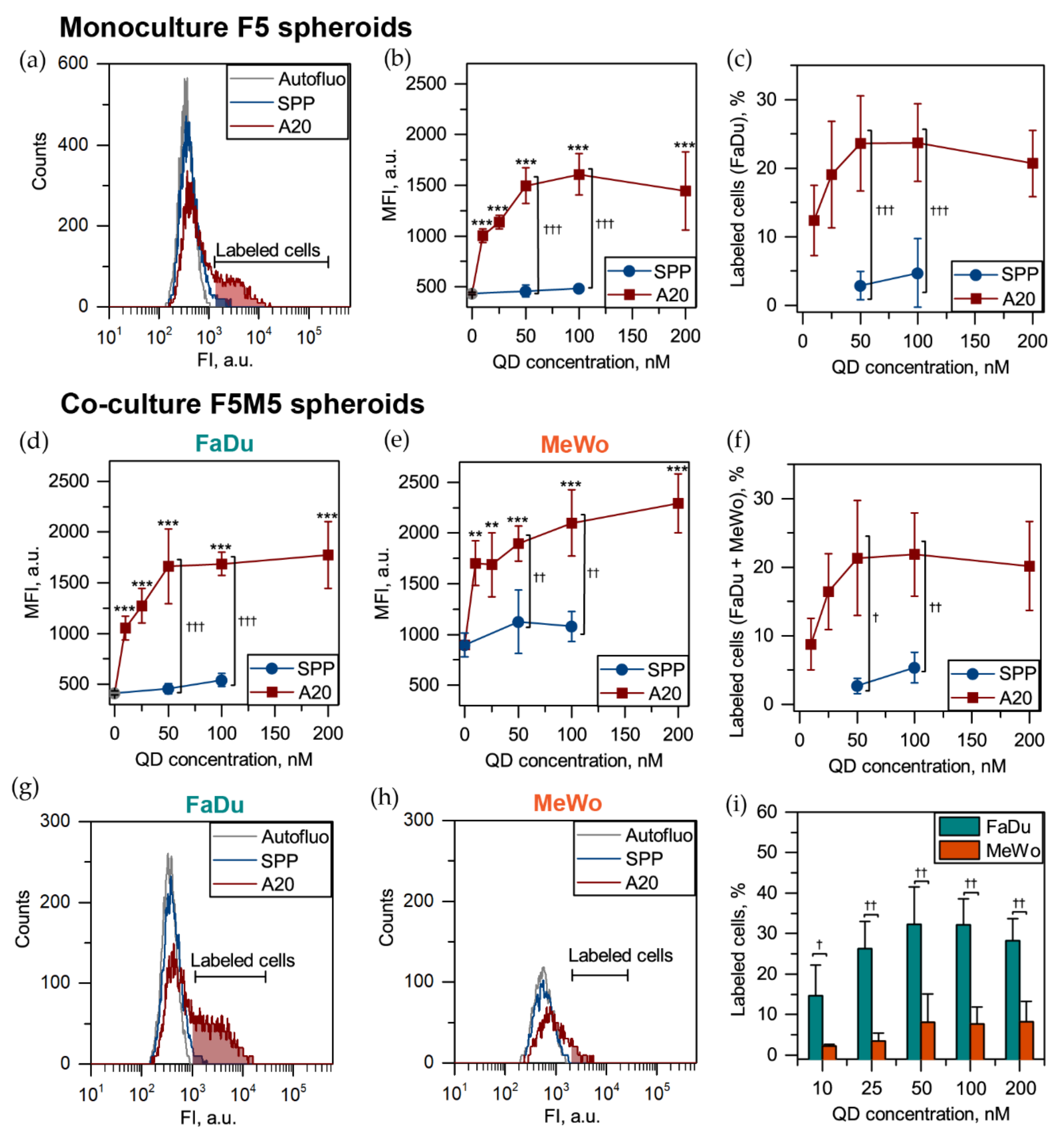 Cancers 12 03727 g005