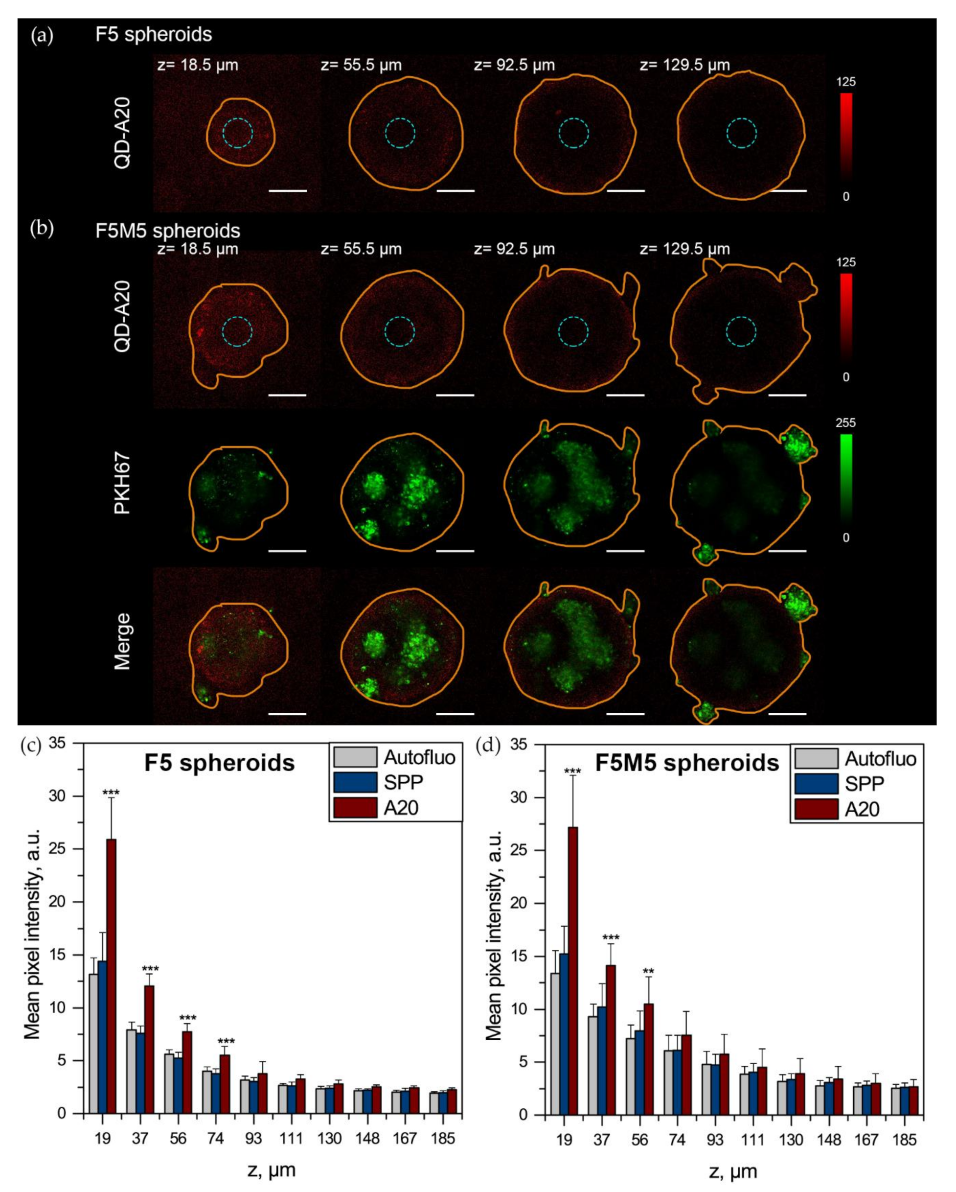Cancers 12 03727 g006