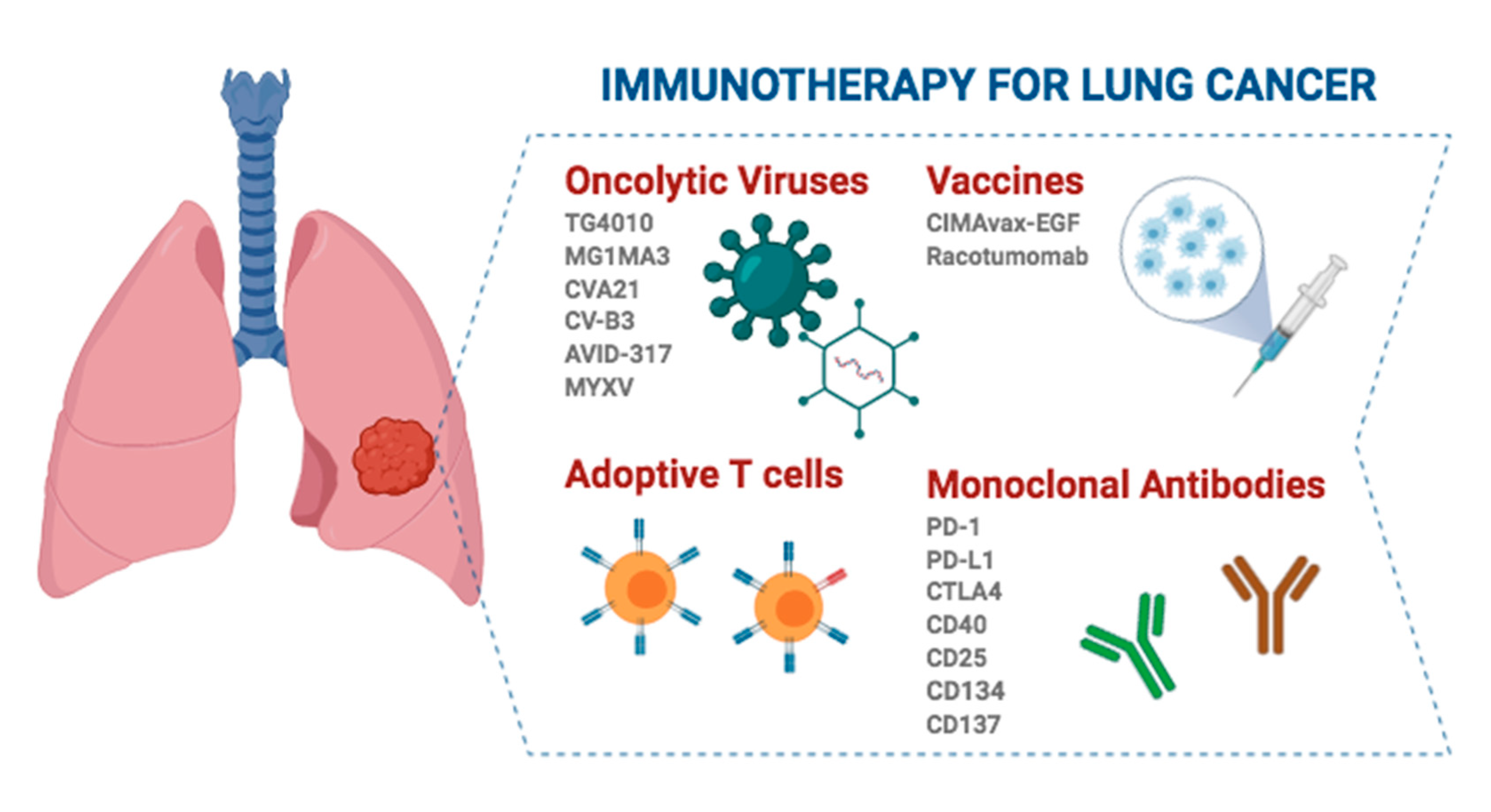 Cancers Free Full Text Primary And Acquired Resistance To