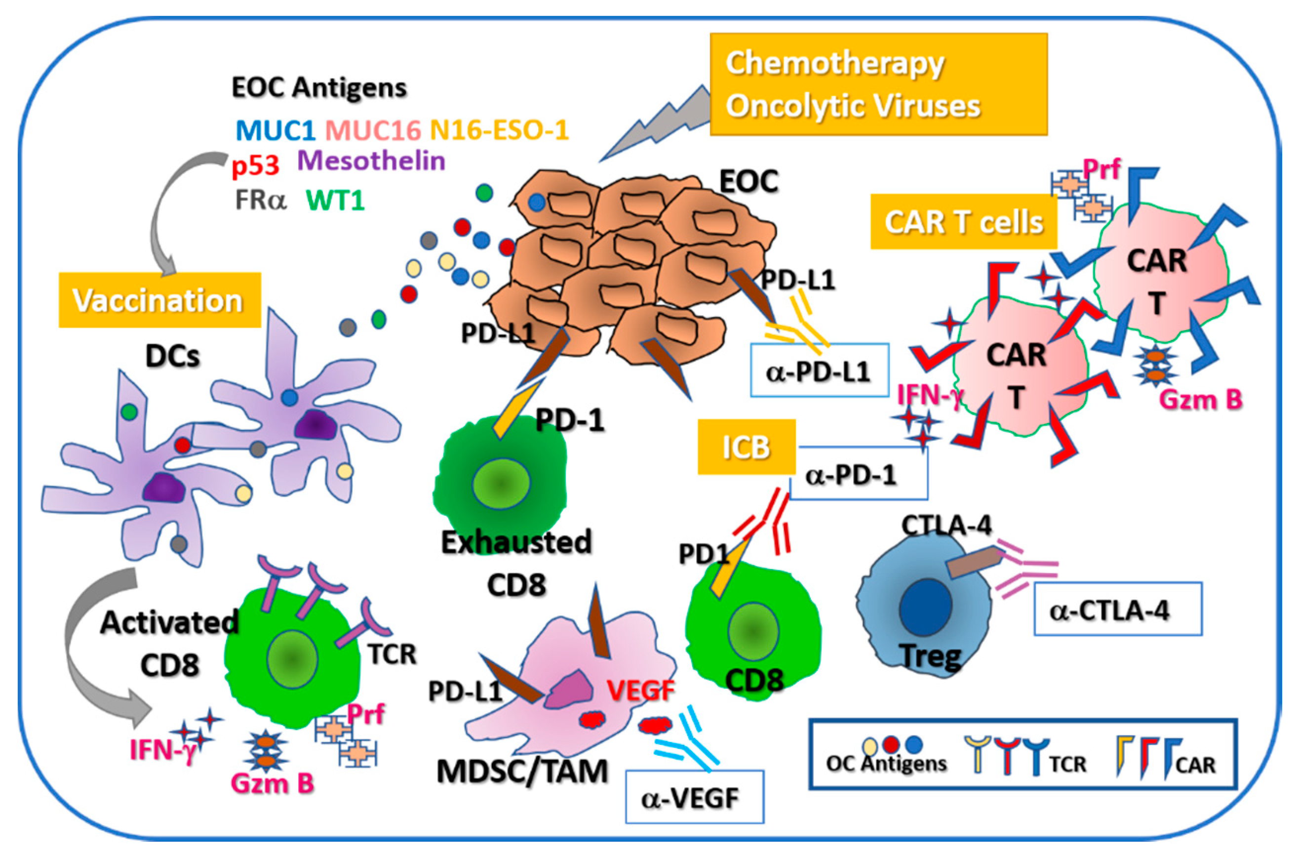 Cancers 12 03733 g001 Cancers 12 03733 g001