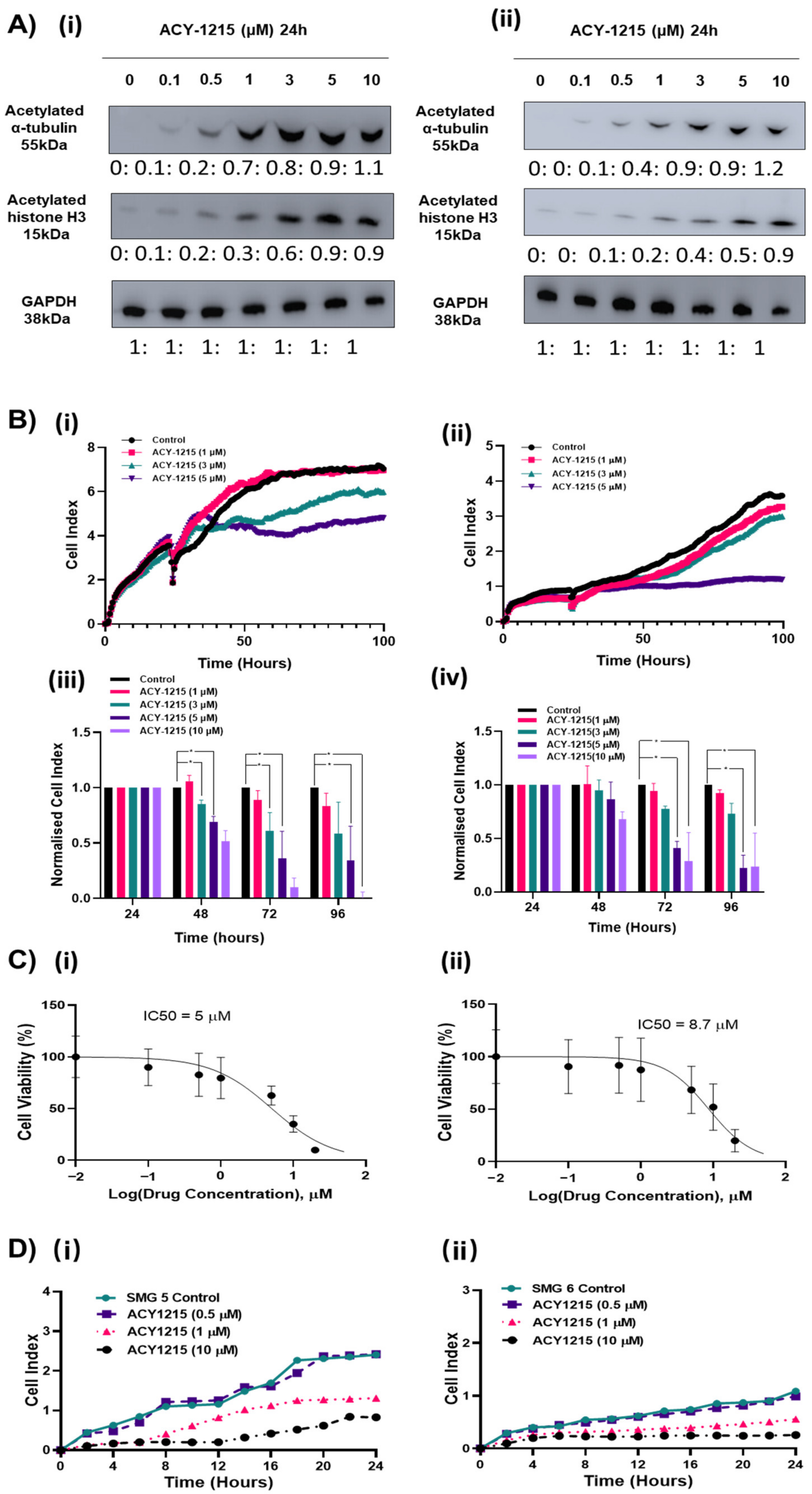 Cancers 12 03734 g004 Cancers 12 03734 g004