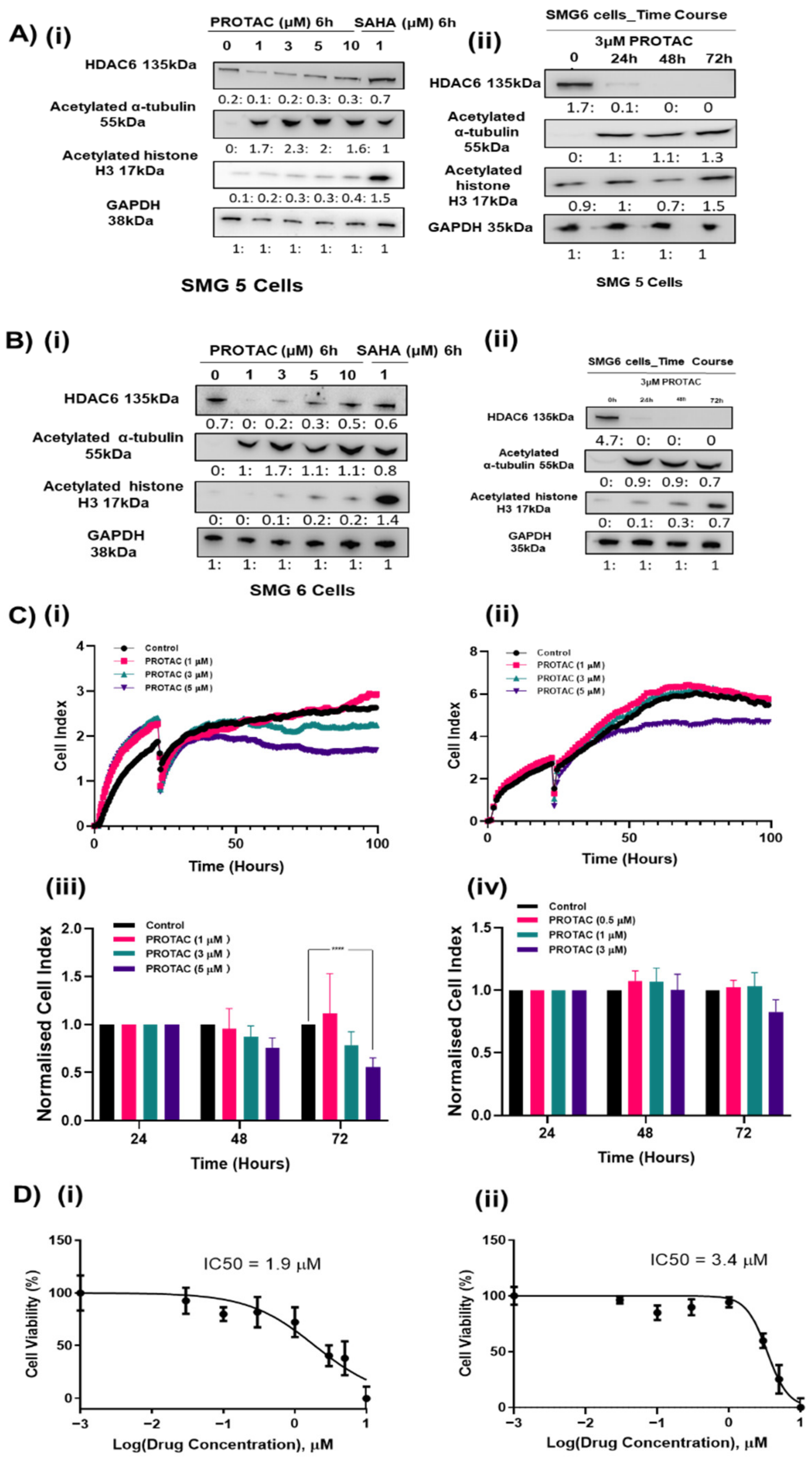Cancers 12 03734 g005 Cancers 12 03734 g005