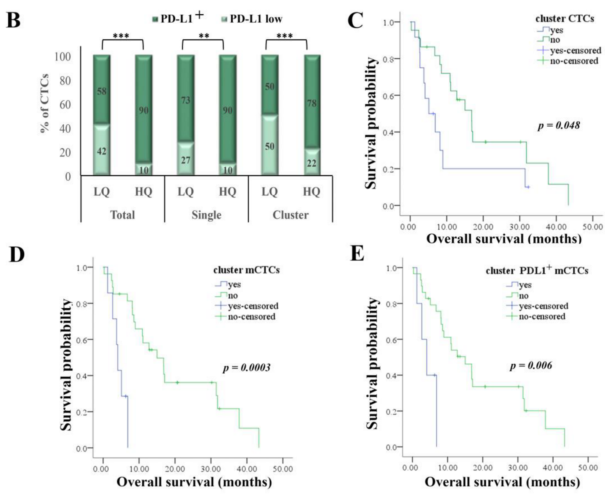 Cancers 12 03735 g002b Cancers 12 03735 g002b
