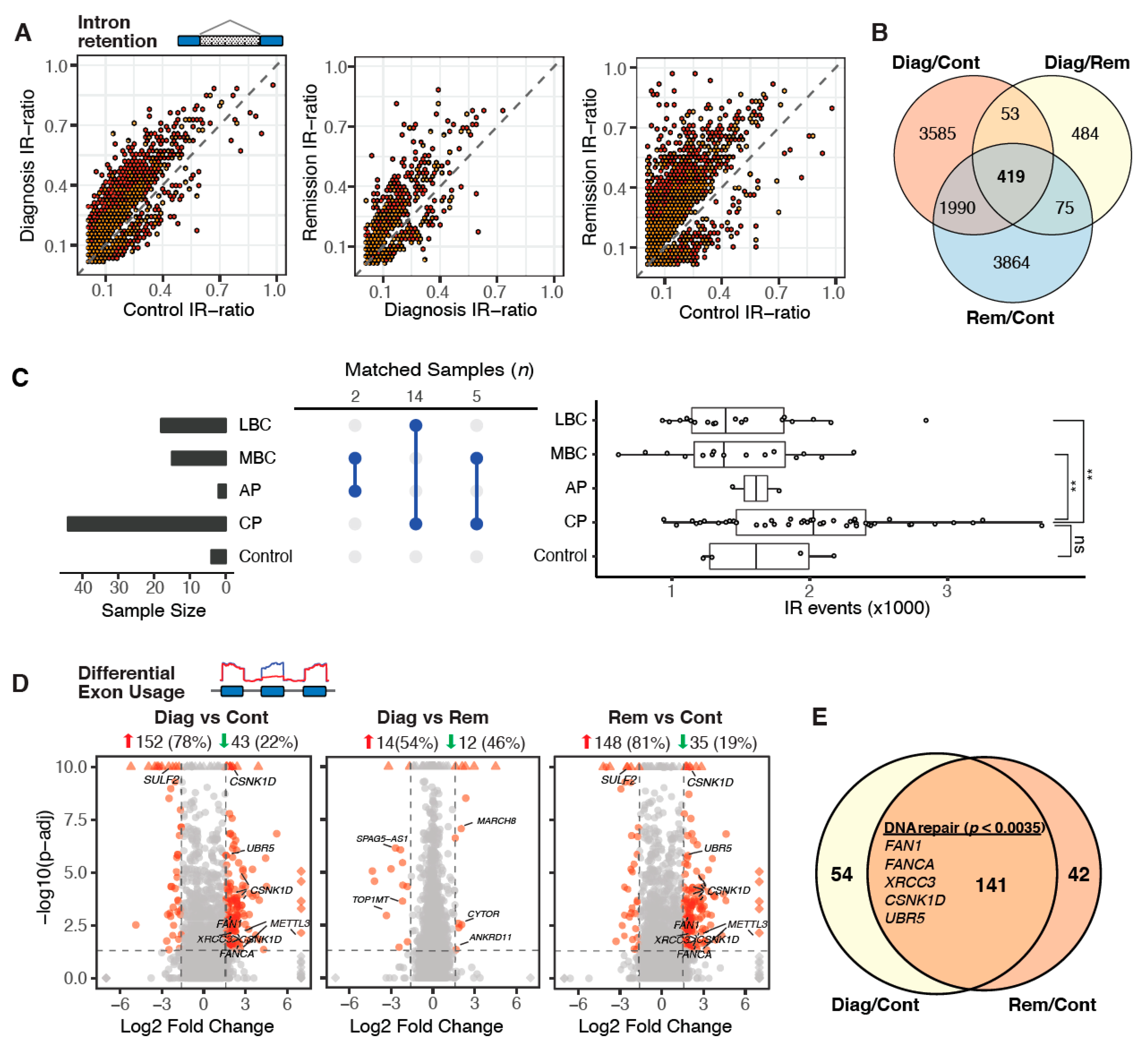 Cancers 12 03738 g003