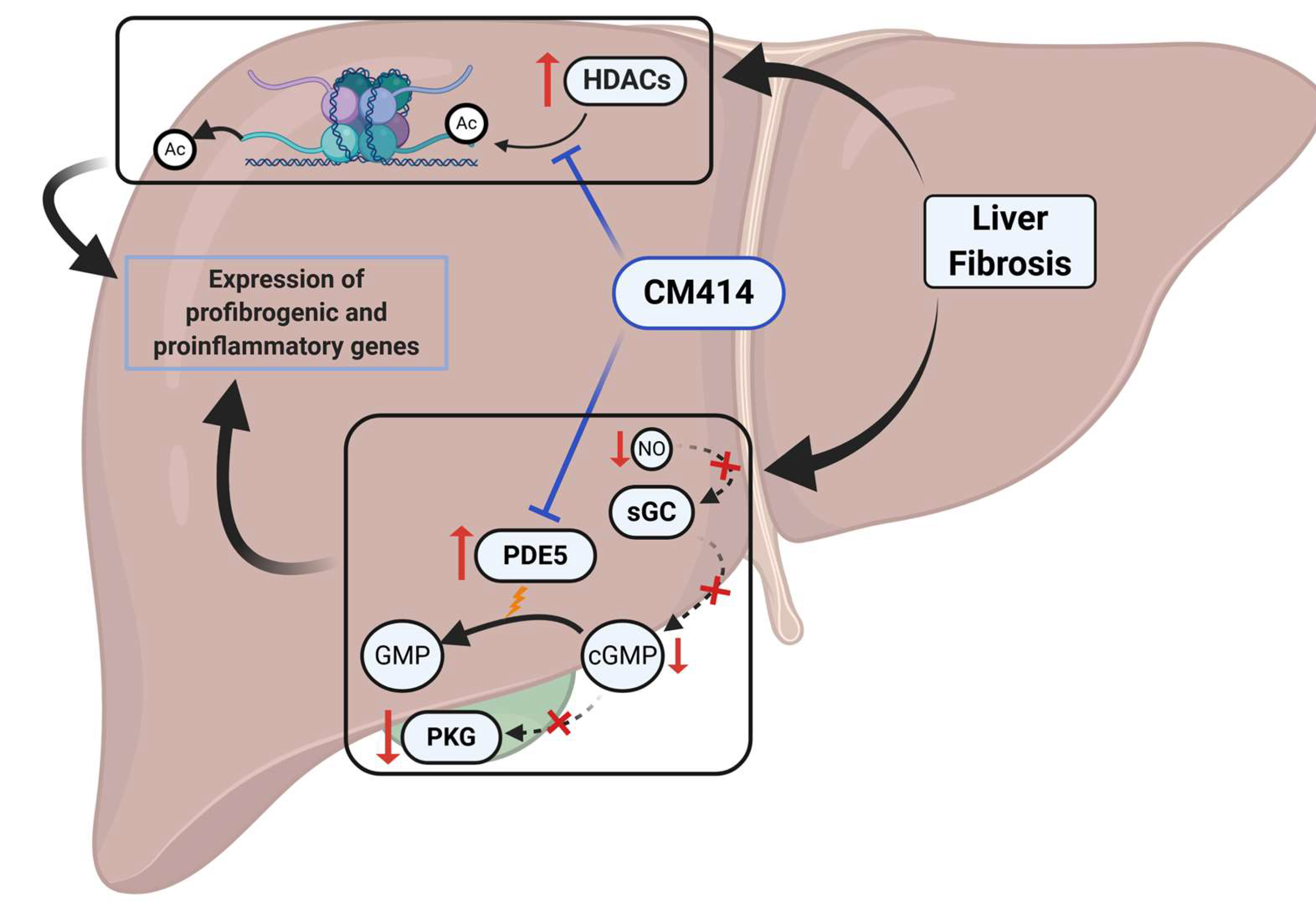 Cancers 12 03748 g008 Cancers 12 03748 g008