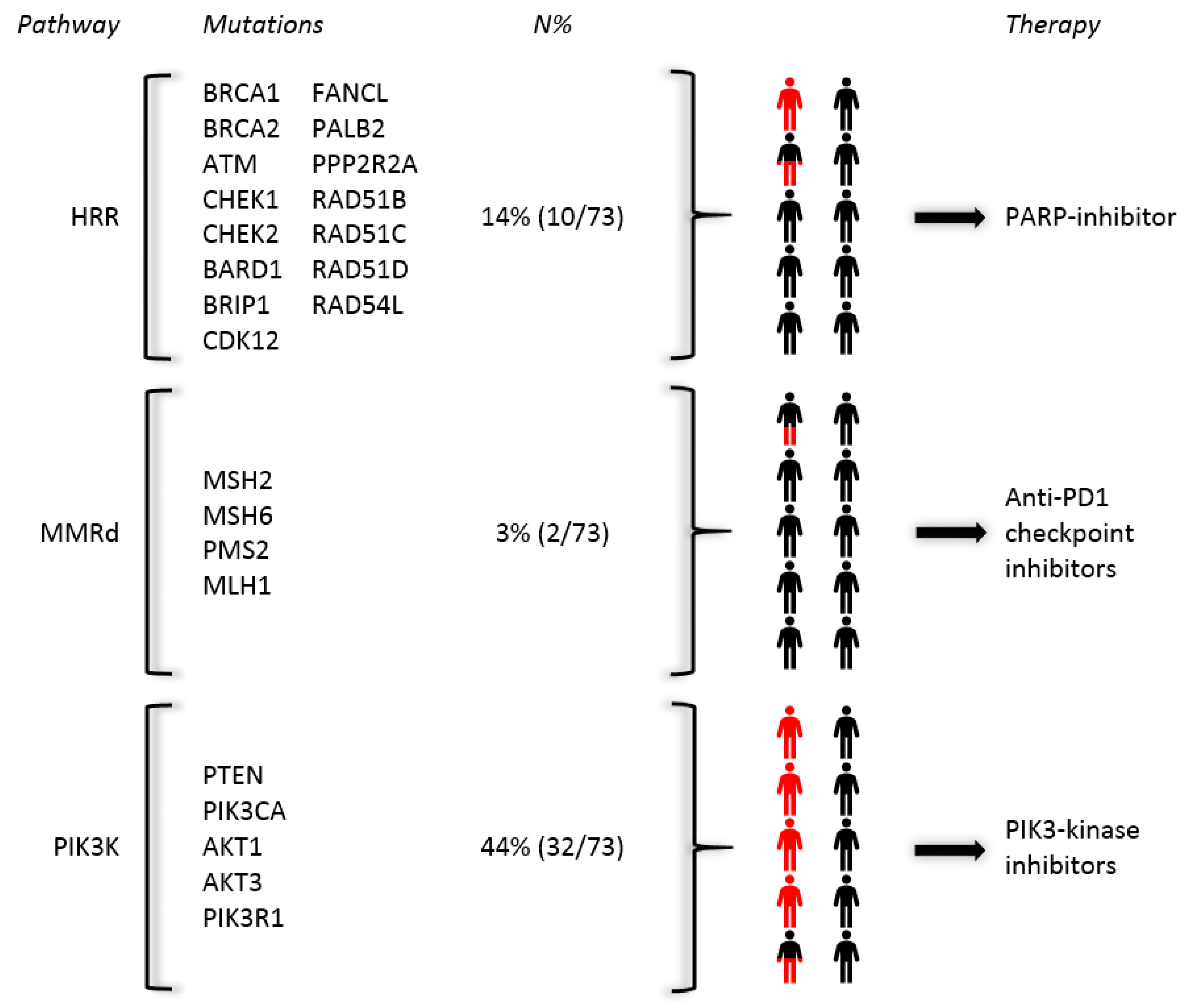 Cancers 12 03756 g003