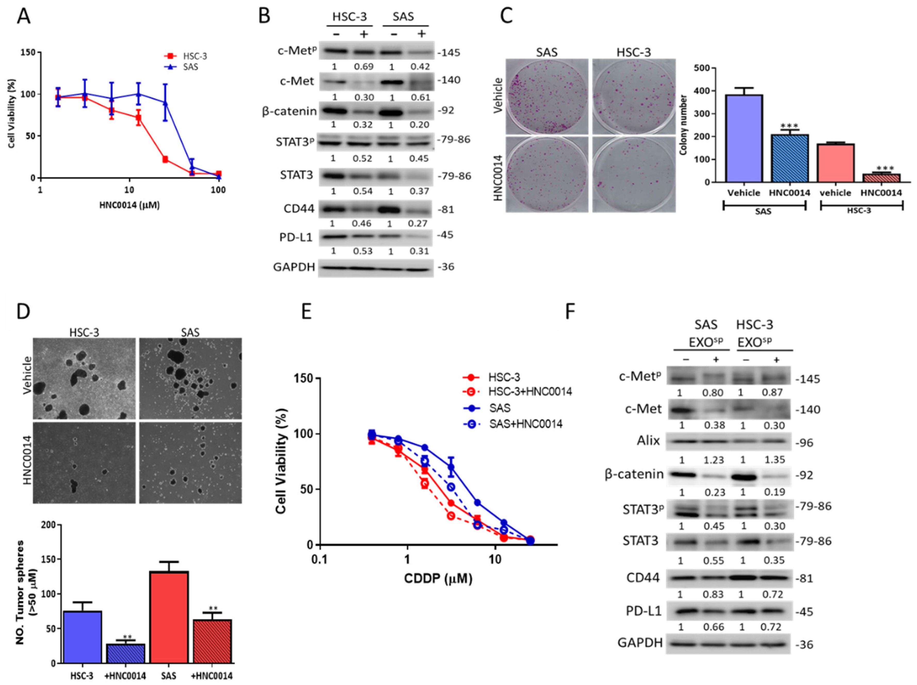 Cancers 12 03759 g003