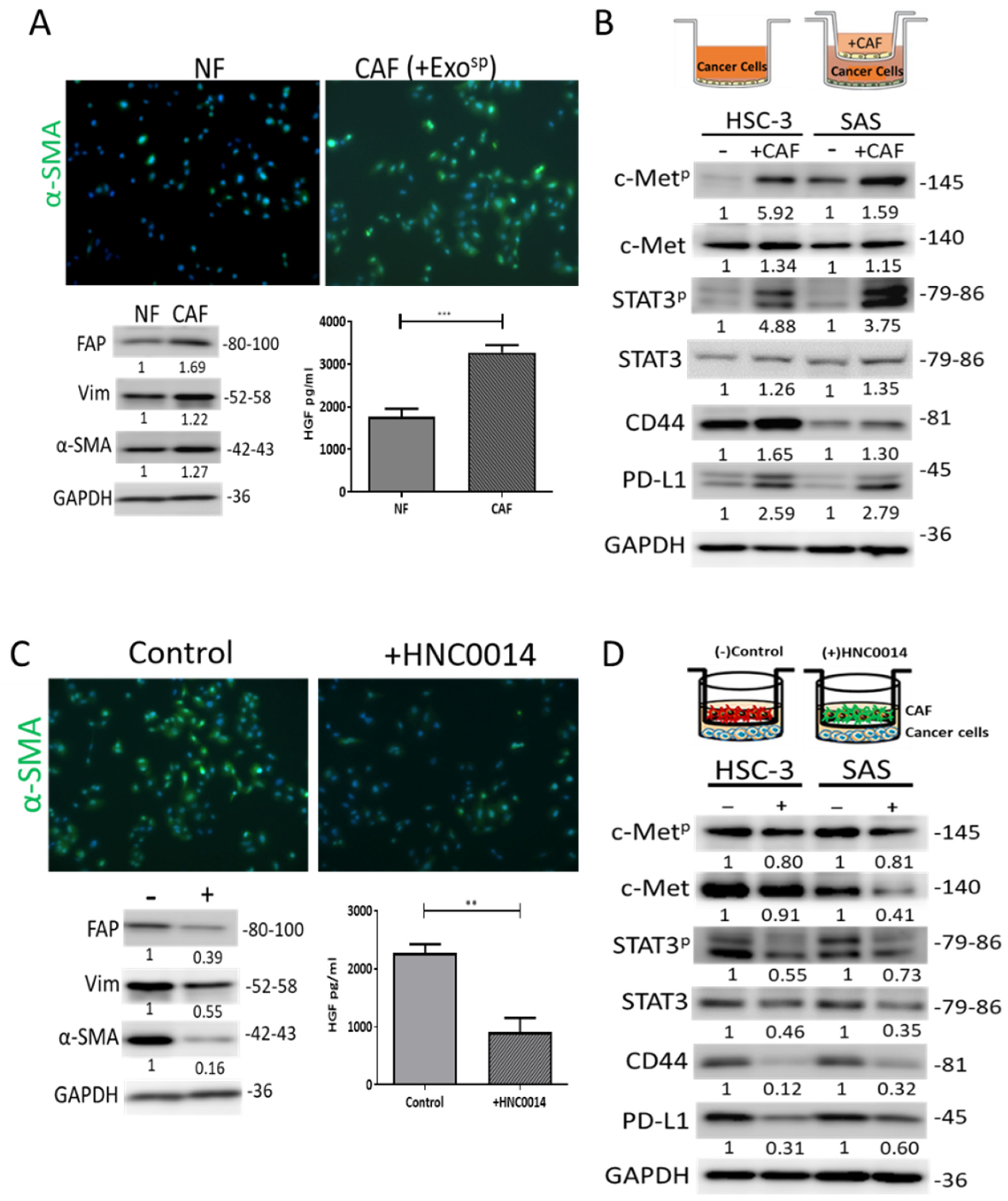 Cancers 12 03759 g004