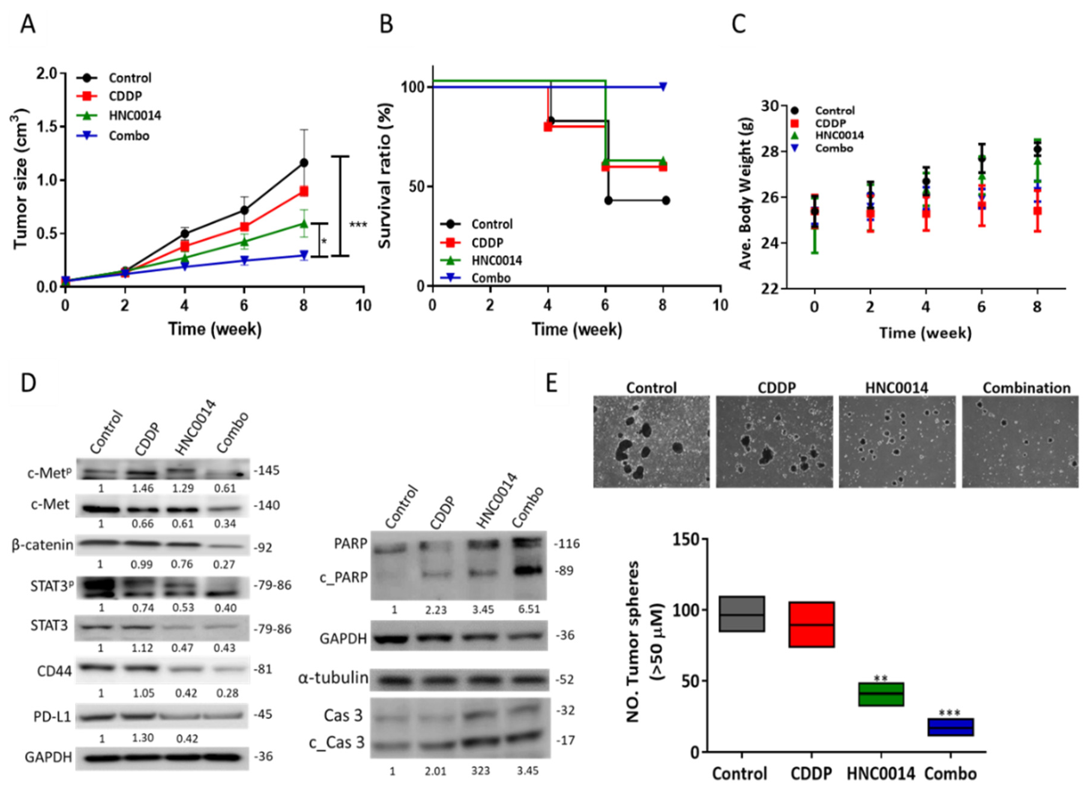 Cancers 12 03759 g005