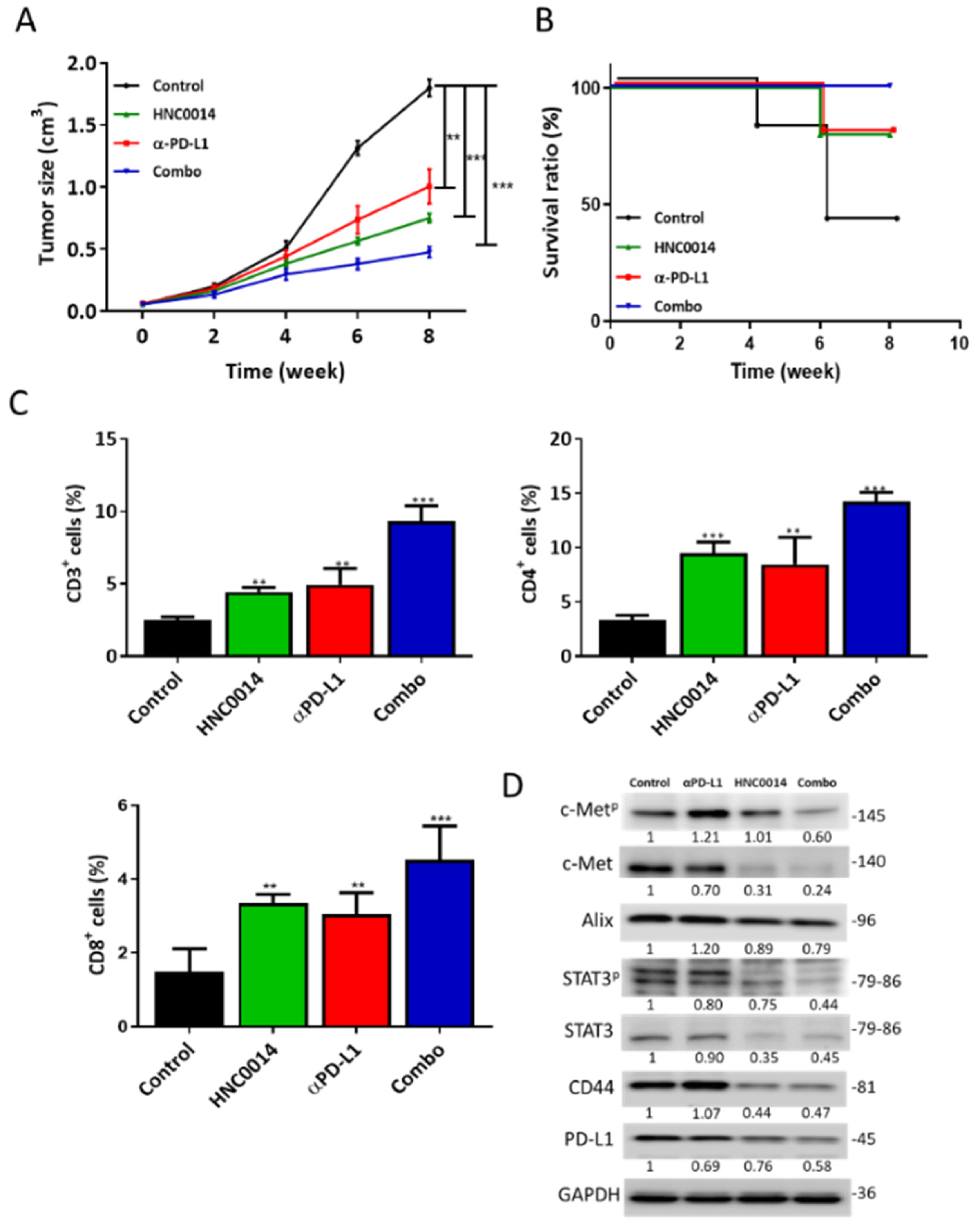 Cancers 12 03759 g006