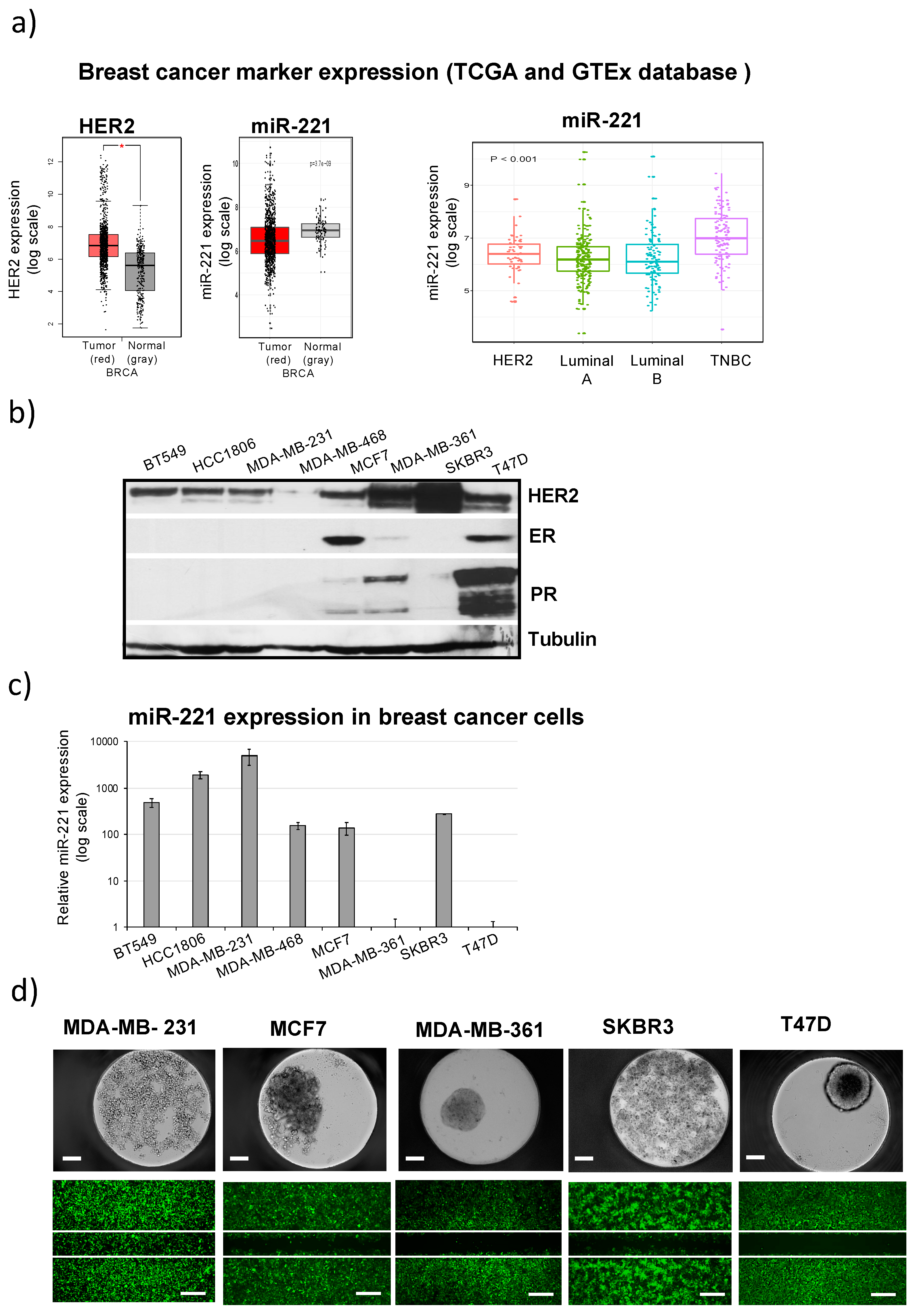 Cancers 12 03760 g001