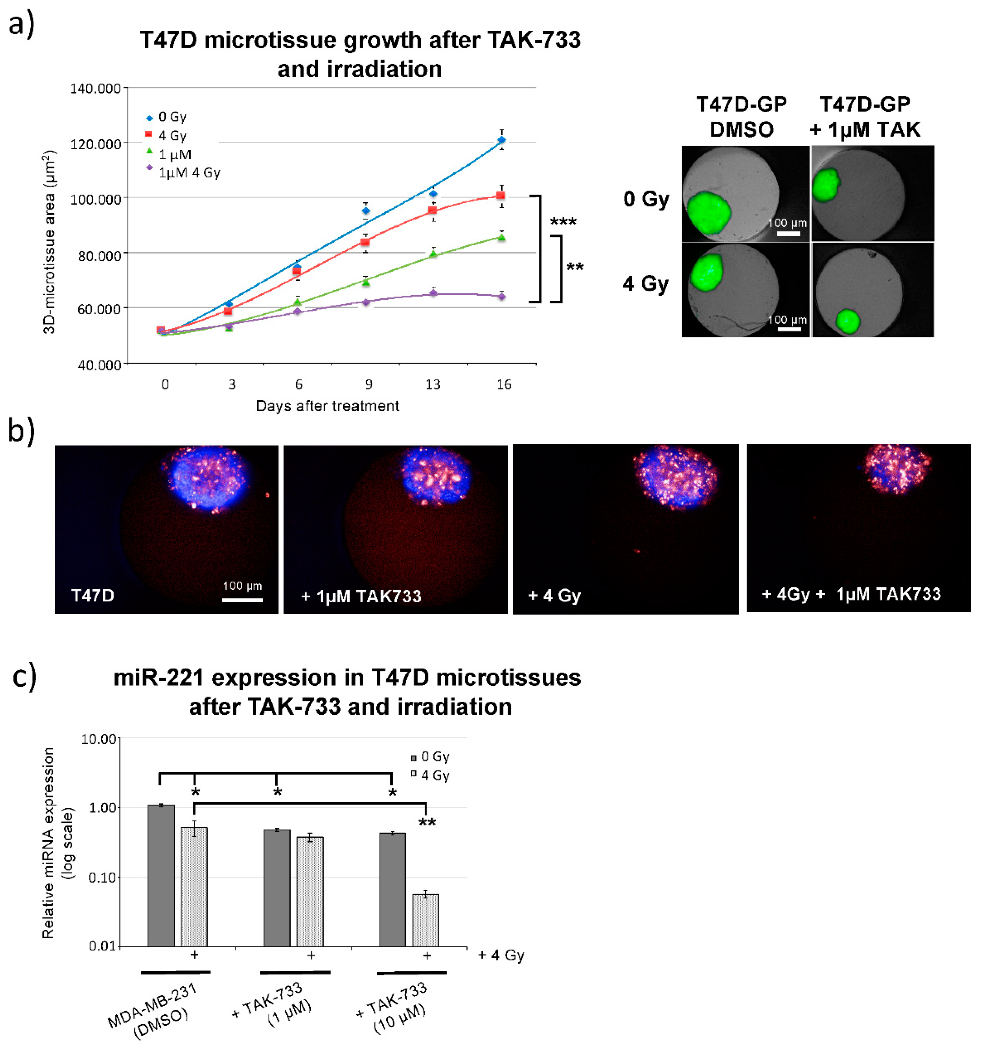 Cancers 12 03760 g002