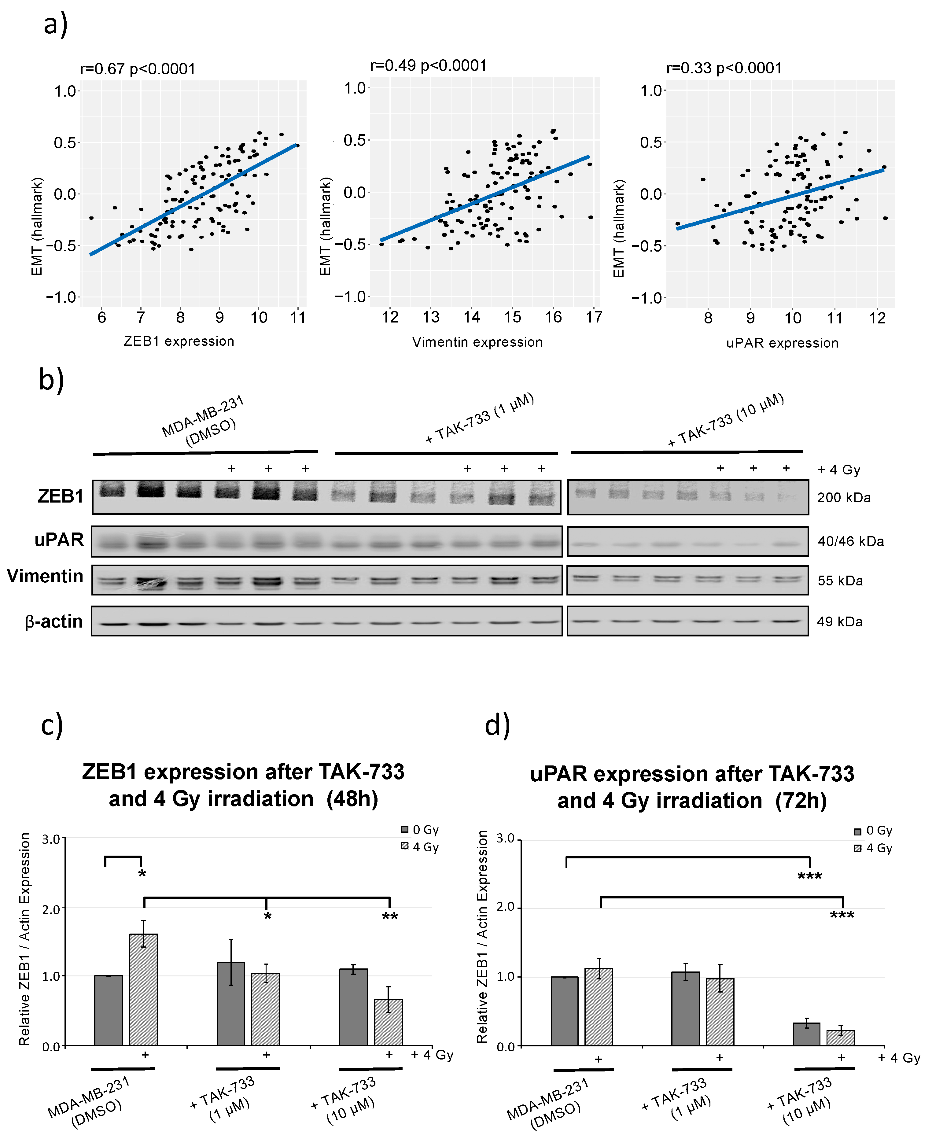 Cancers 12 03760 g004