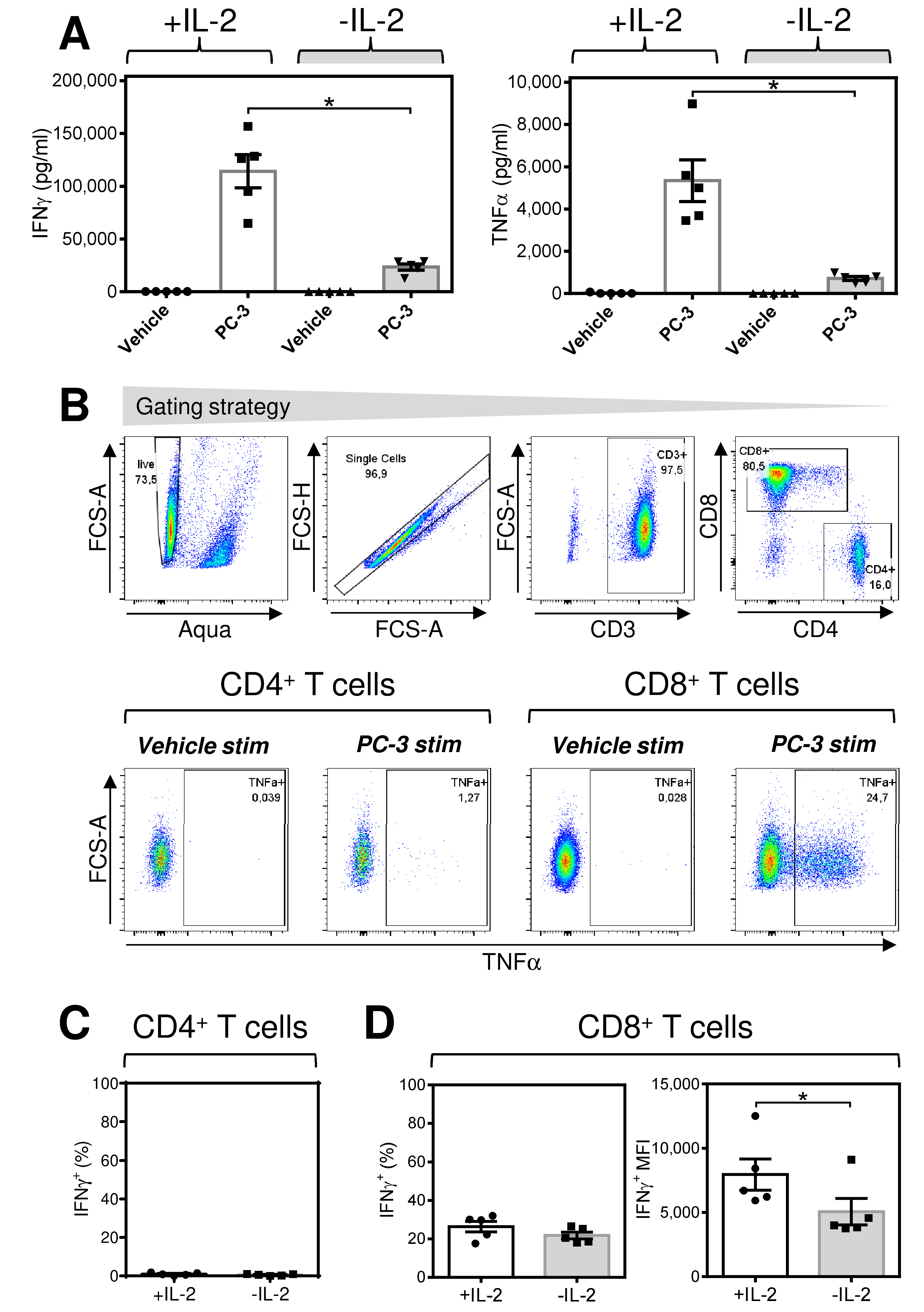 Cancers 12 03766 g001a