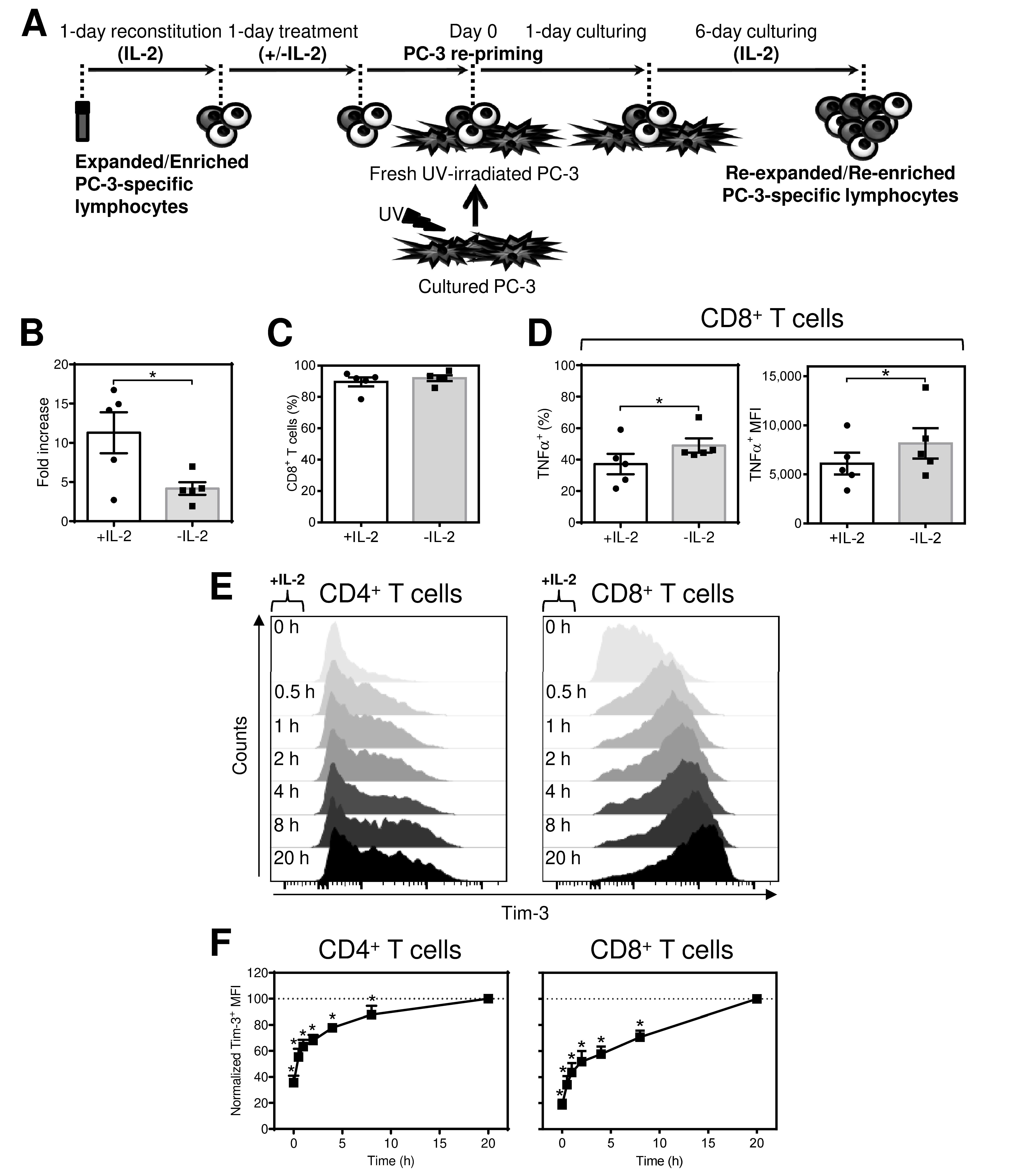 Cancers 12 03766 g002