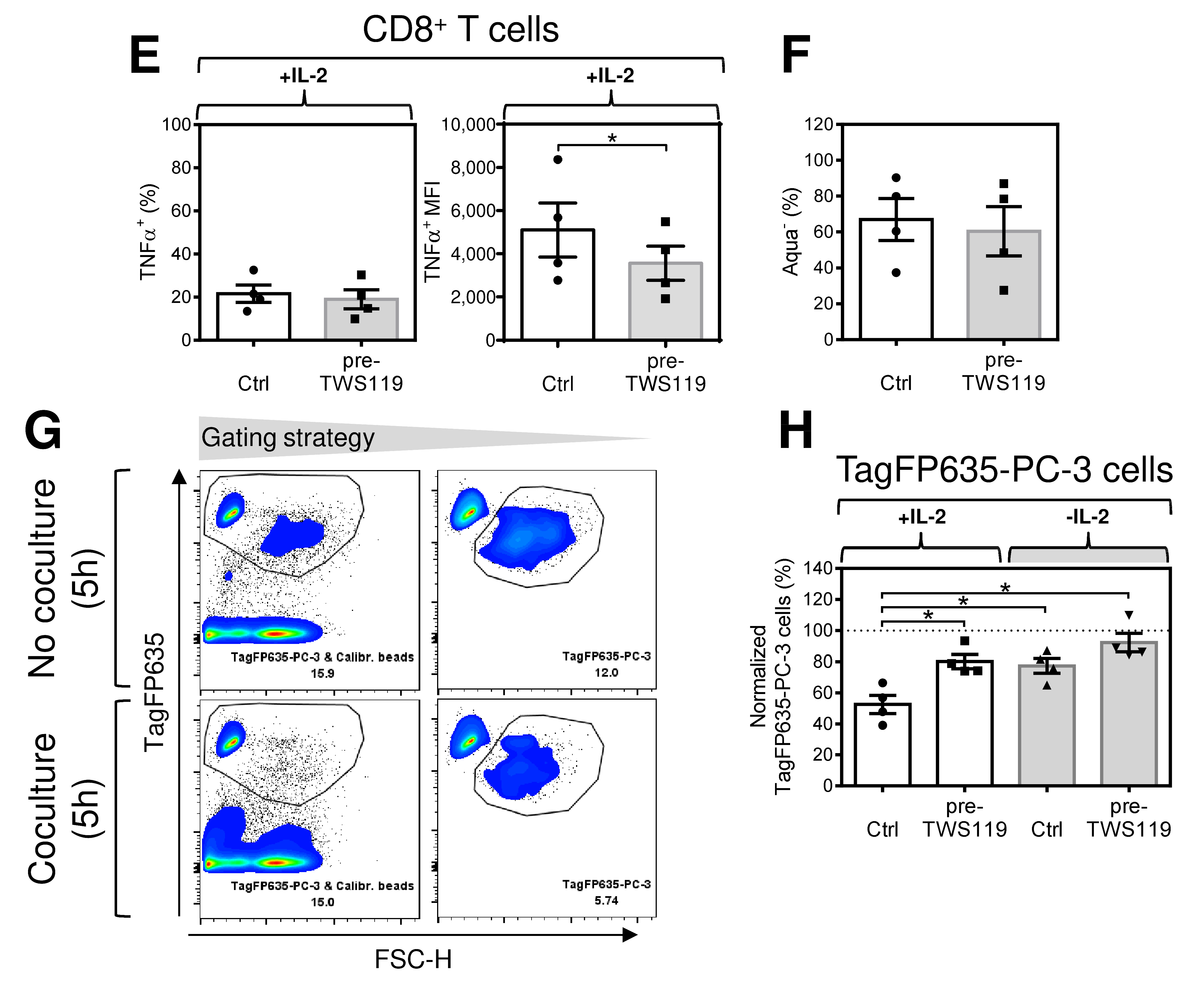 Cancers 12 03766 g004b