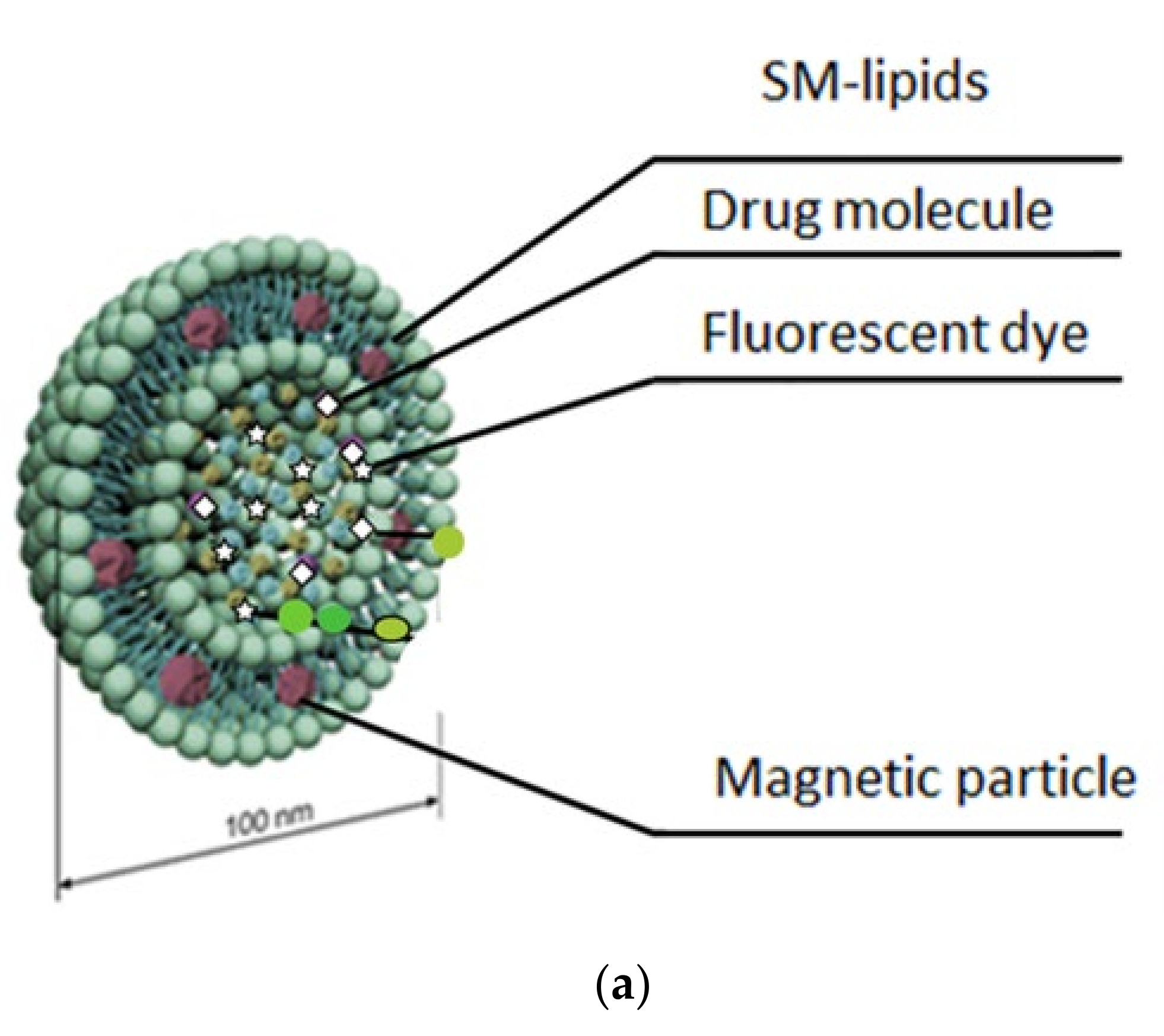 Cancers 12 03767 g001a