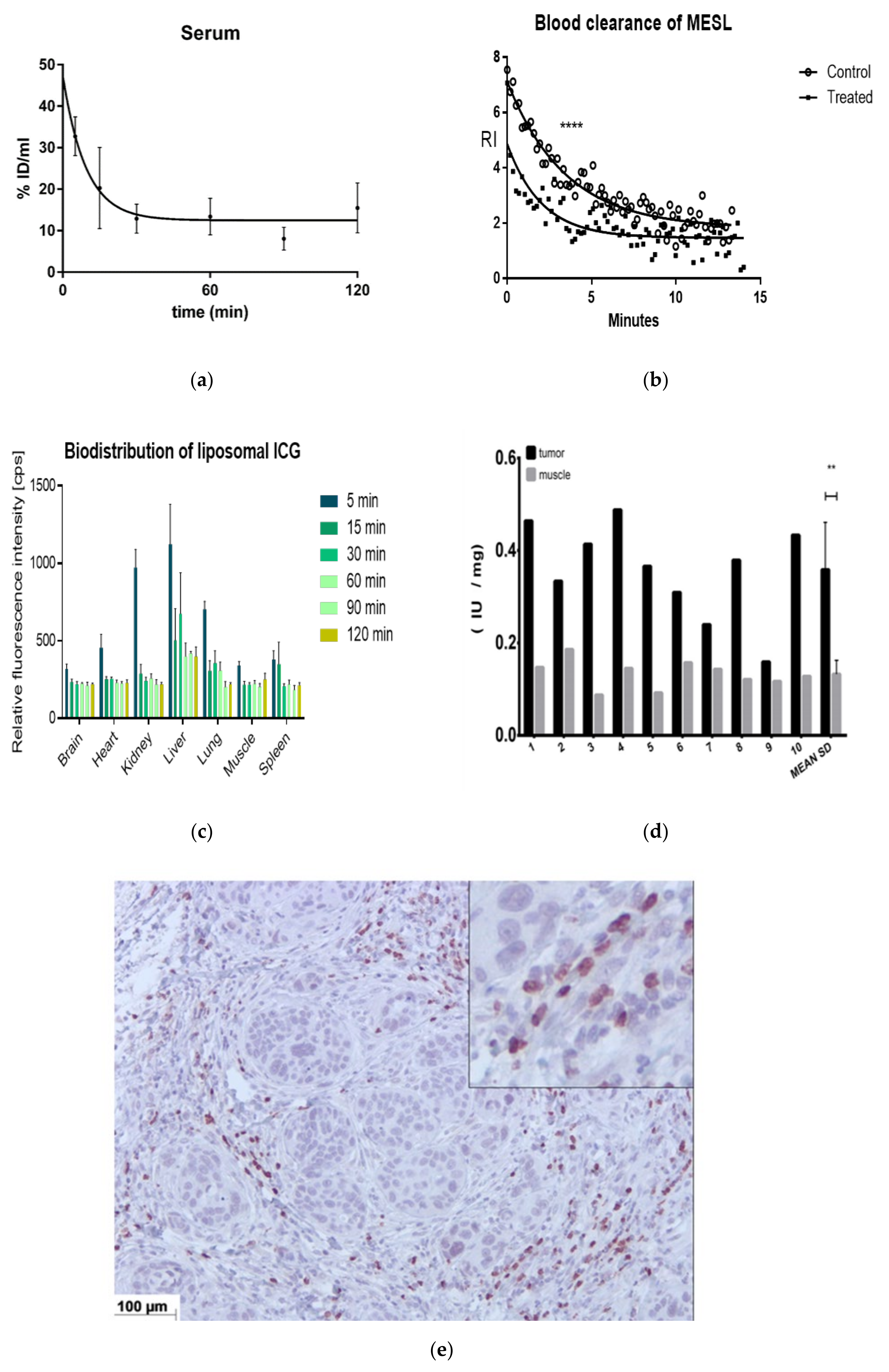Cancers 12 03767 g003a