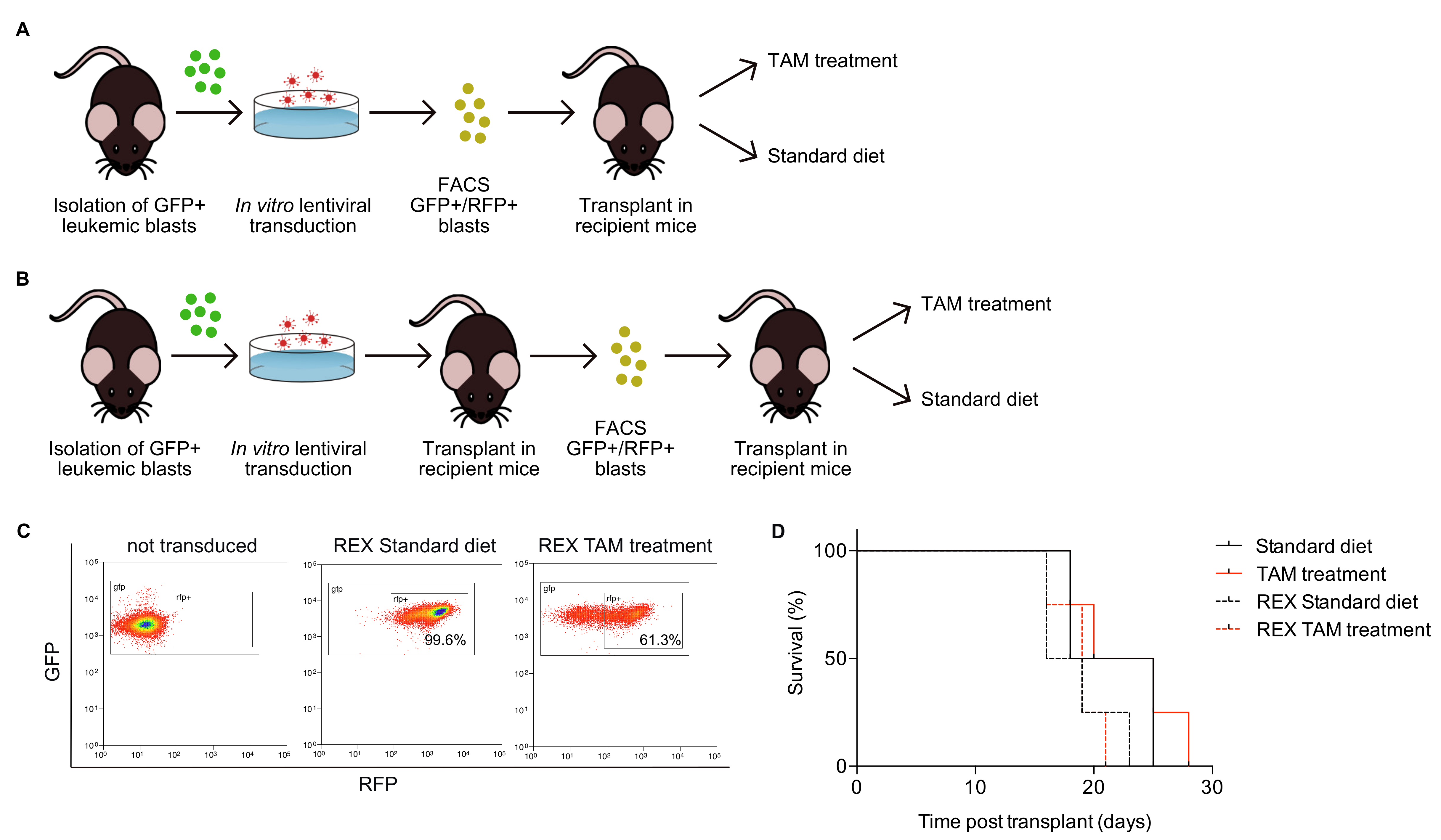 Cancers 12 03768 g002 Cancers 12 03768 g002