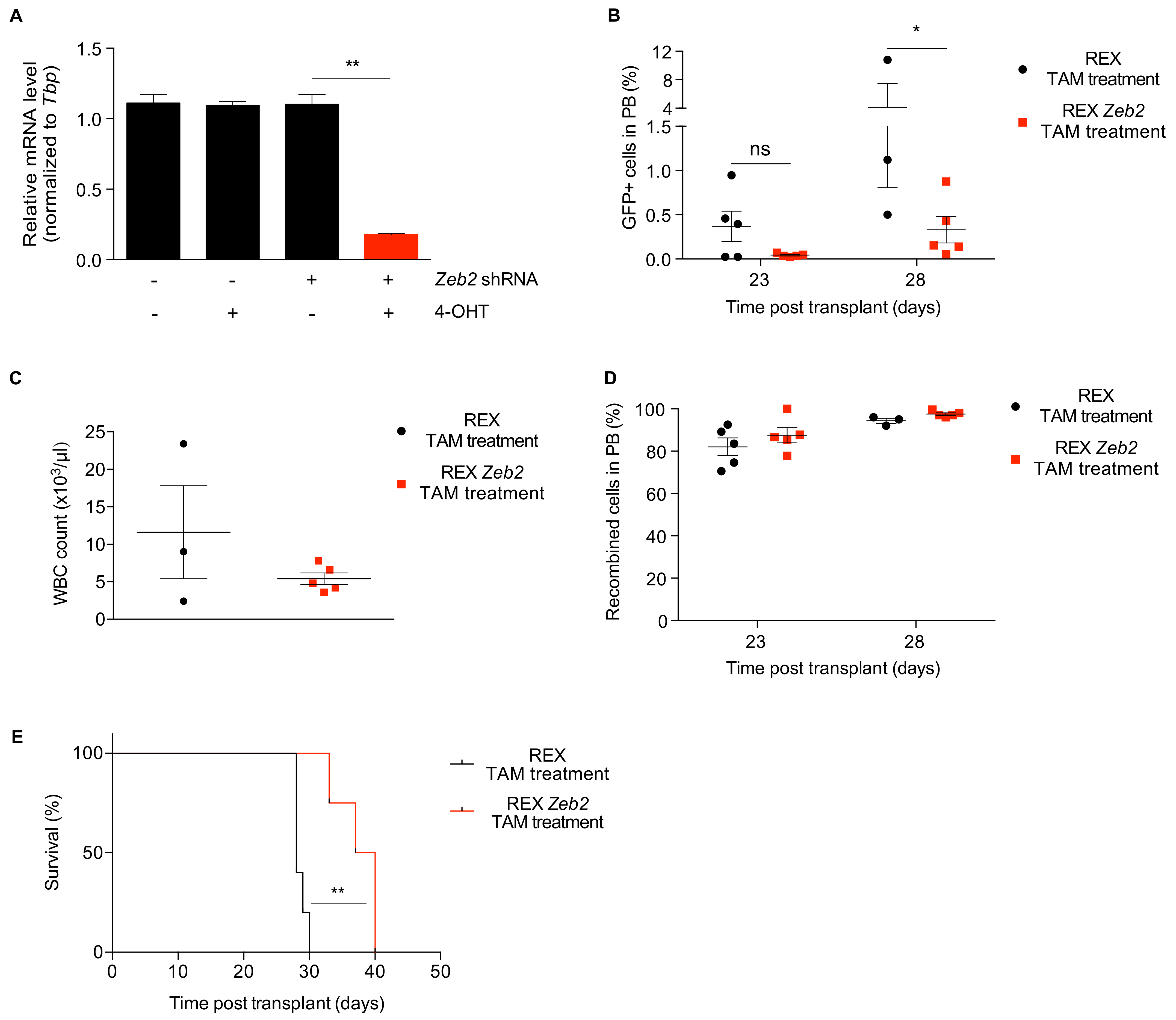 Cancers 12 03768 g003 Cancers 12 03768 g003