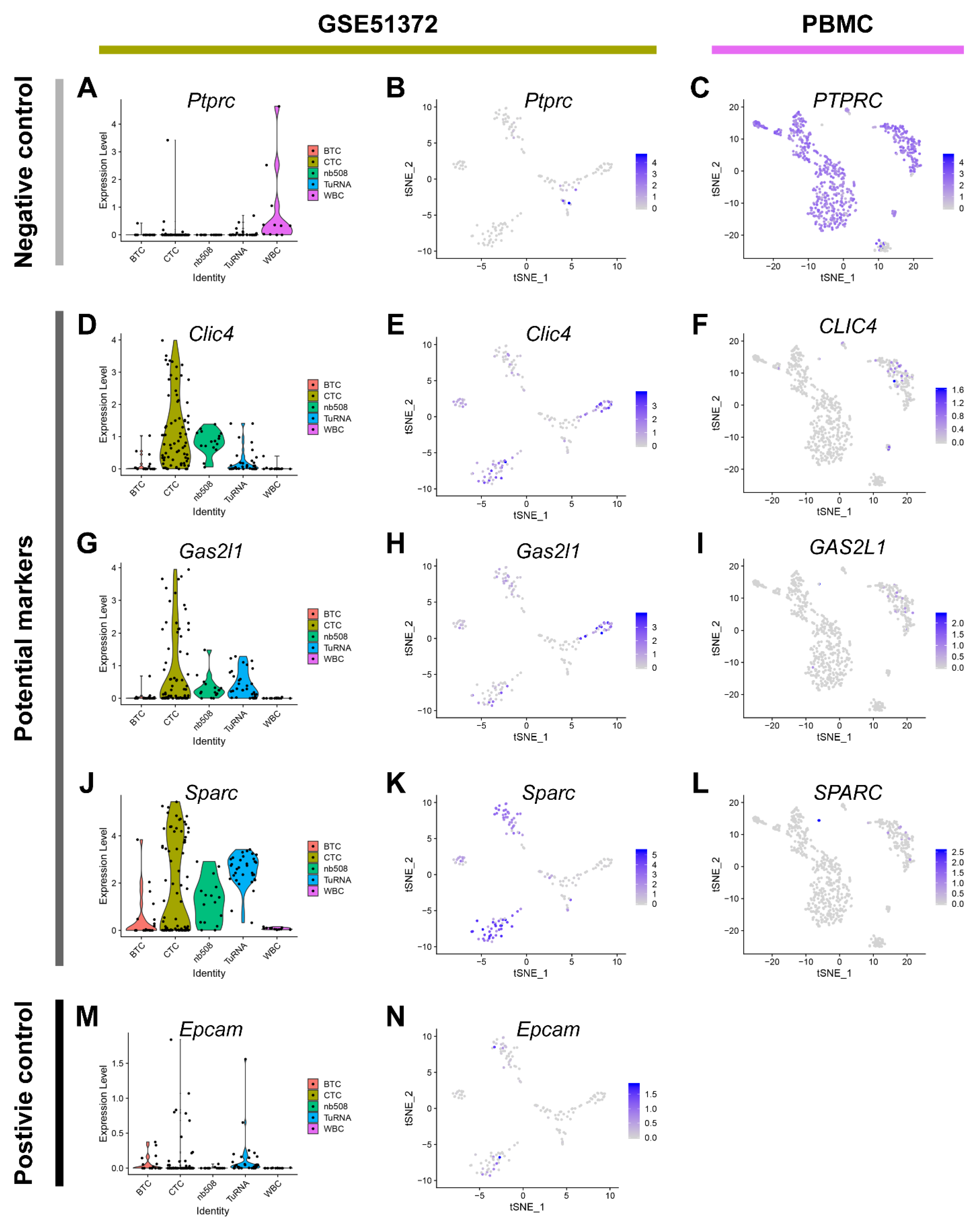 Cancers 12 03774 g004