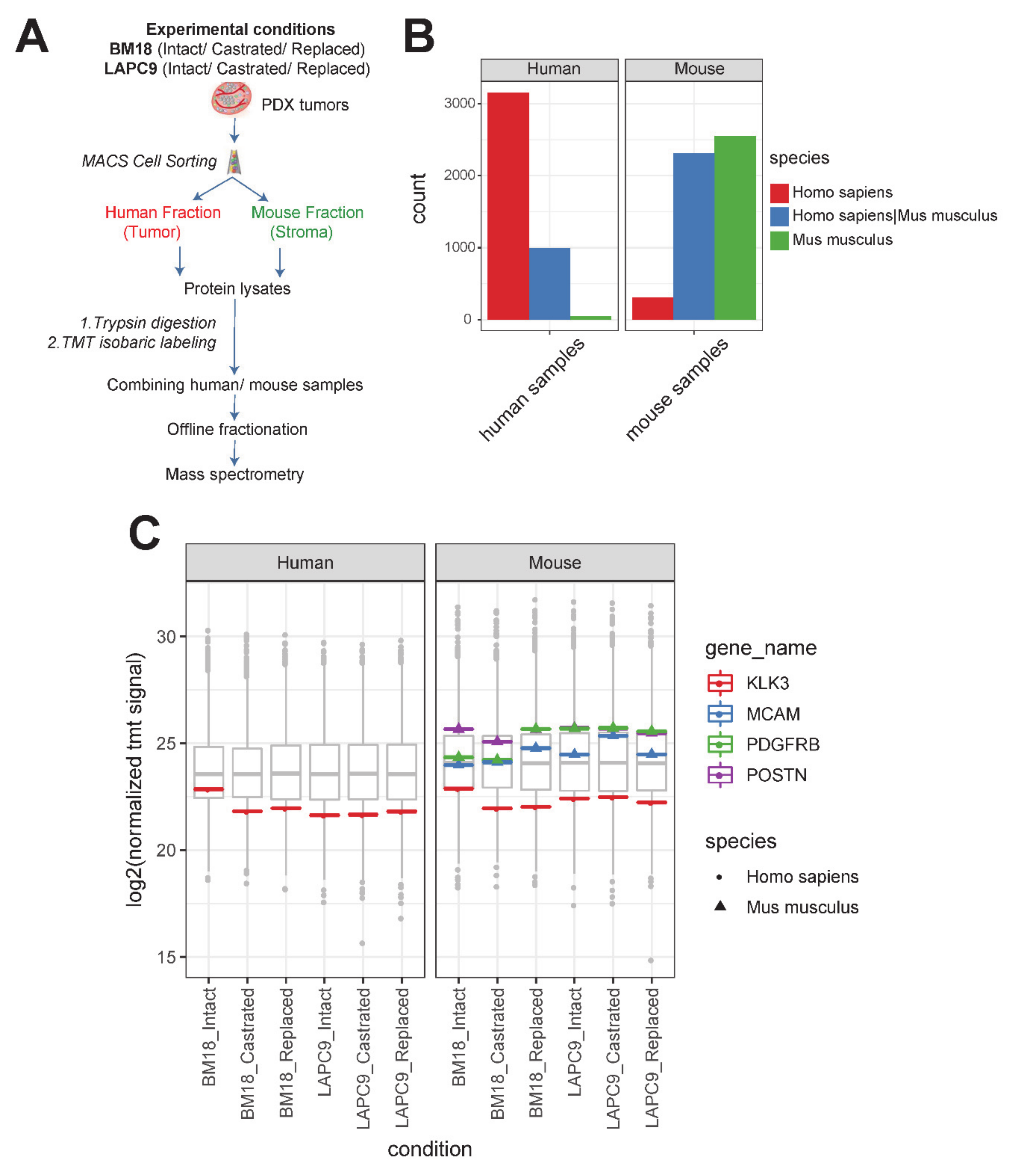 Cancers 12 03786 g003