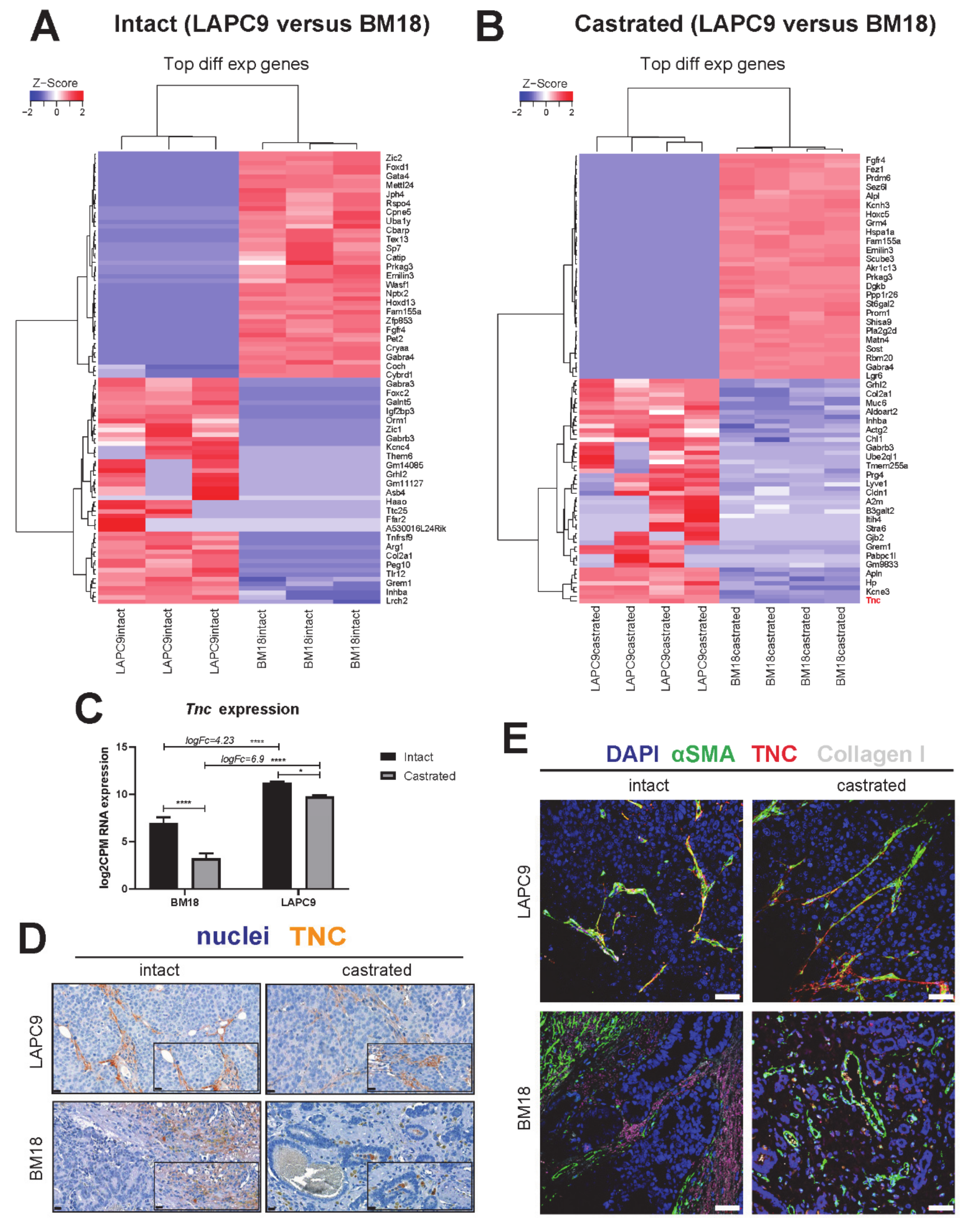 Cancers 12 03786 g005