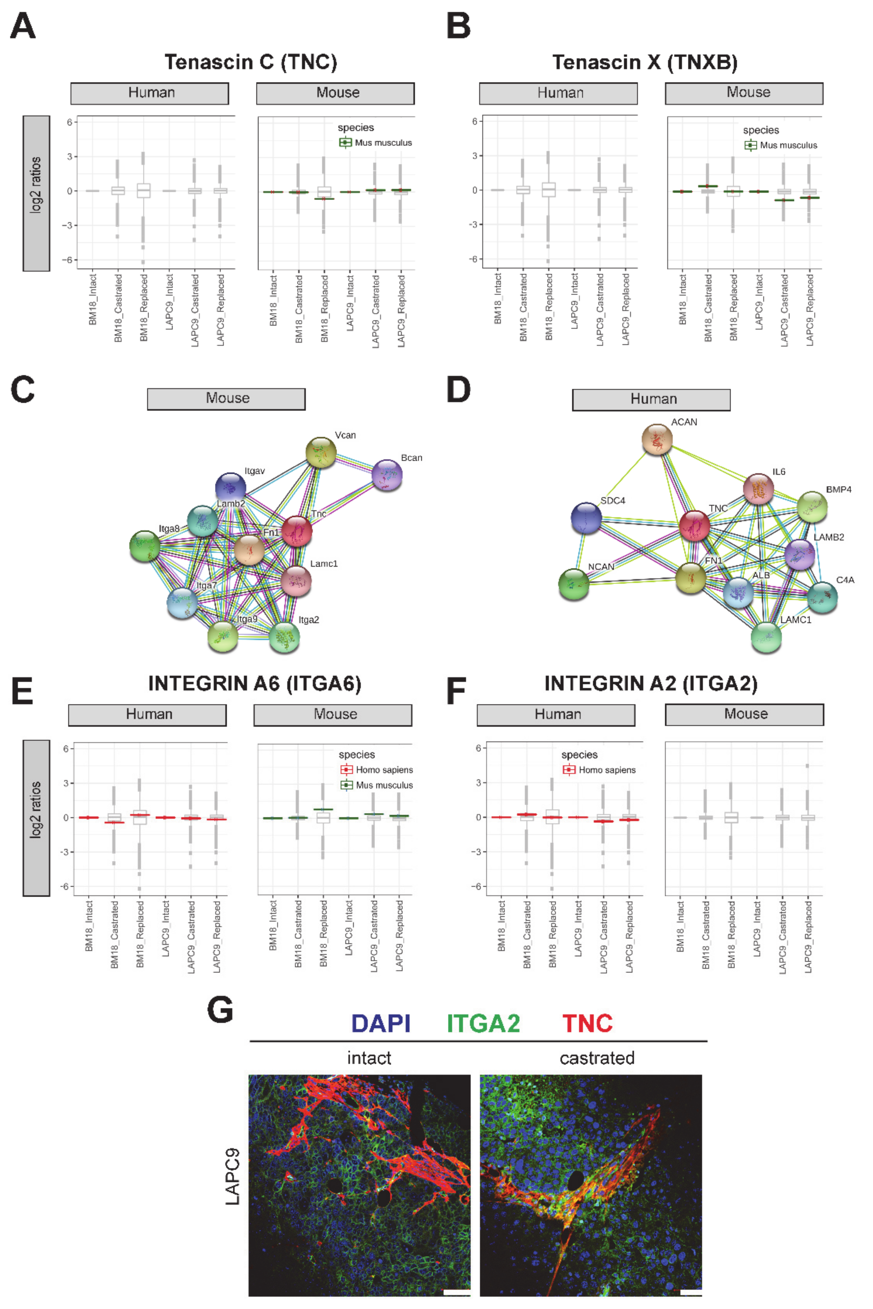Cancers 12 03786 g006