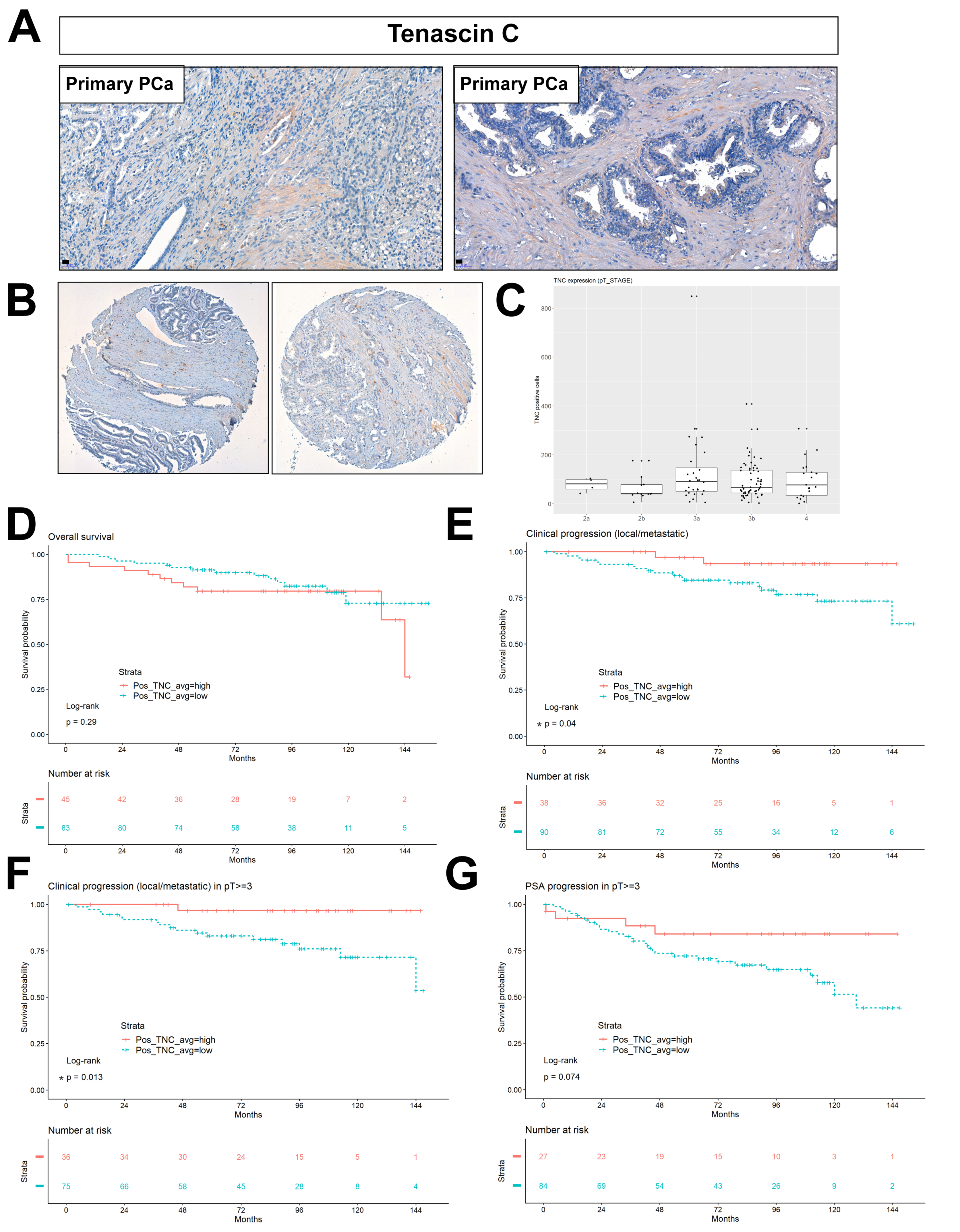Cancers 12 03786 g007