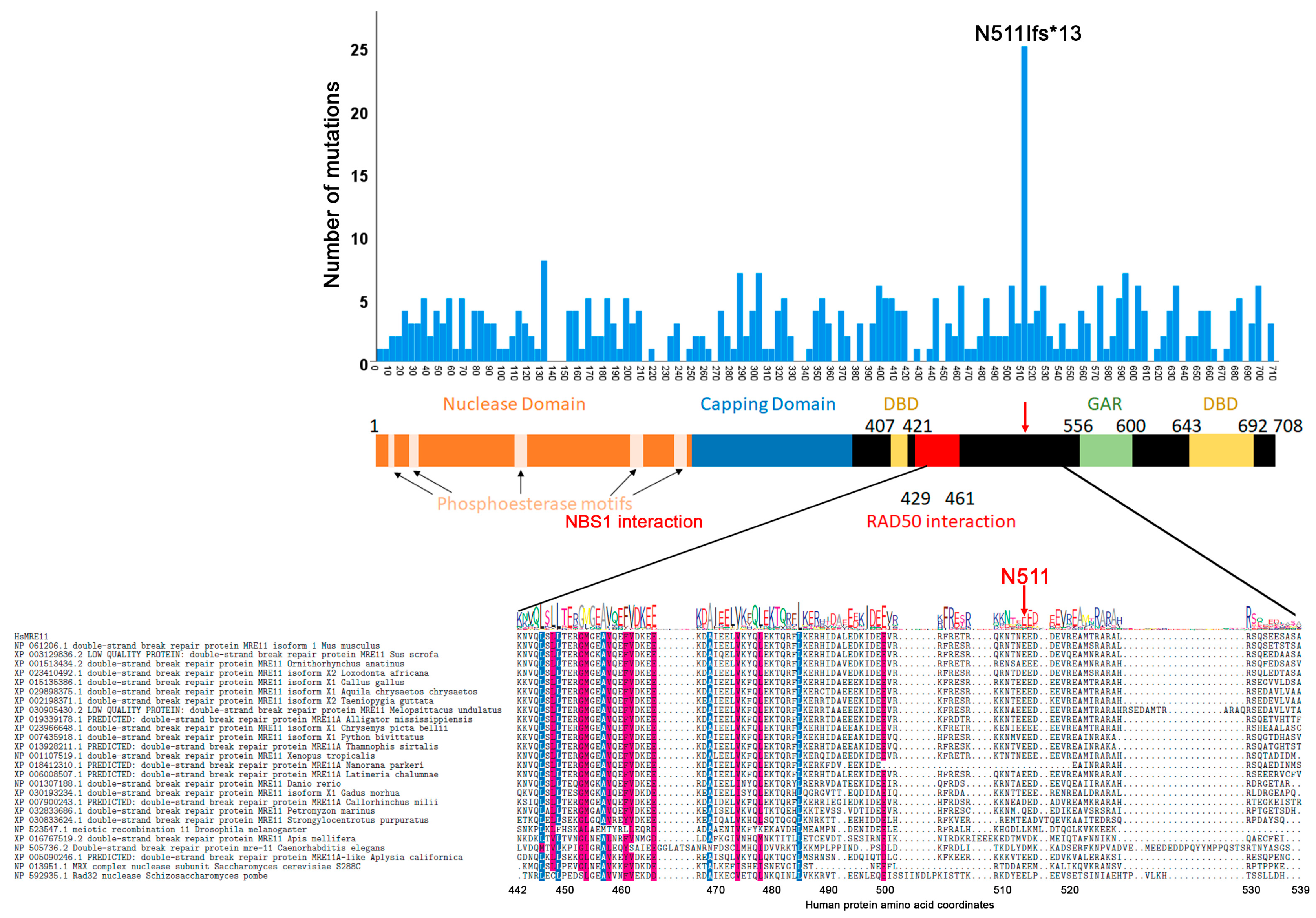 Cancers 12 03794 g003