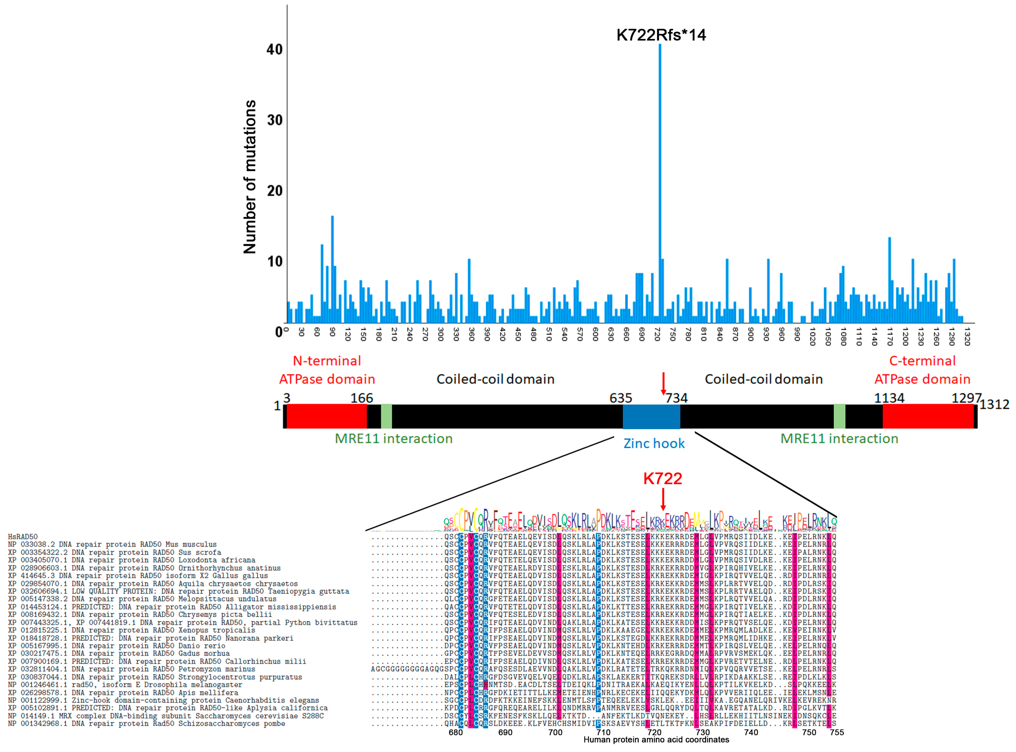 Cancers 12 03794 g004