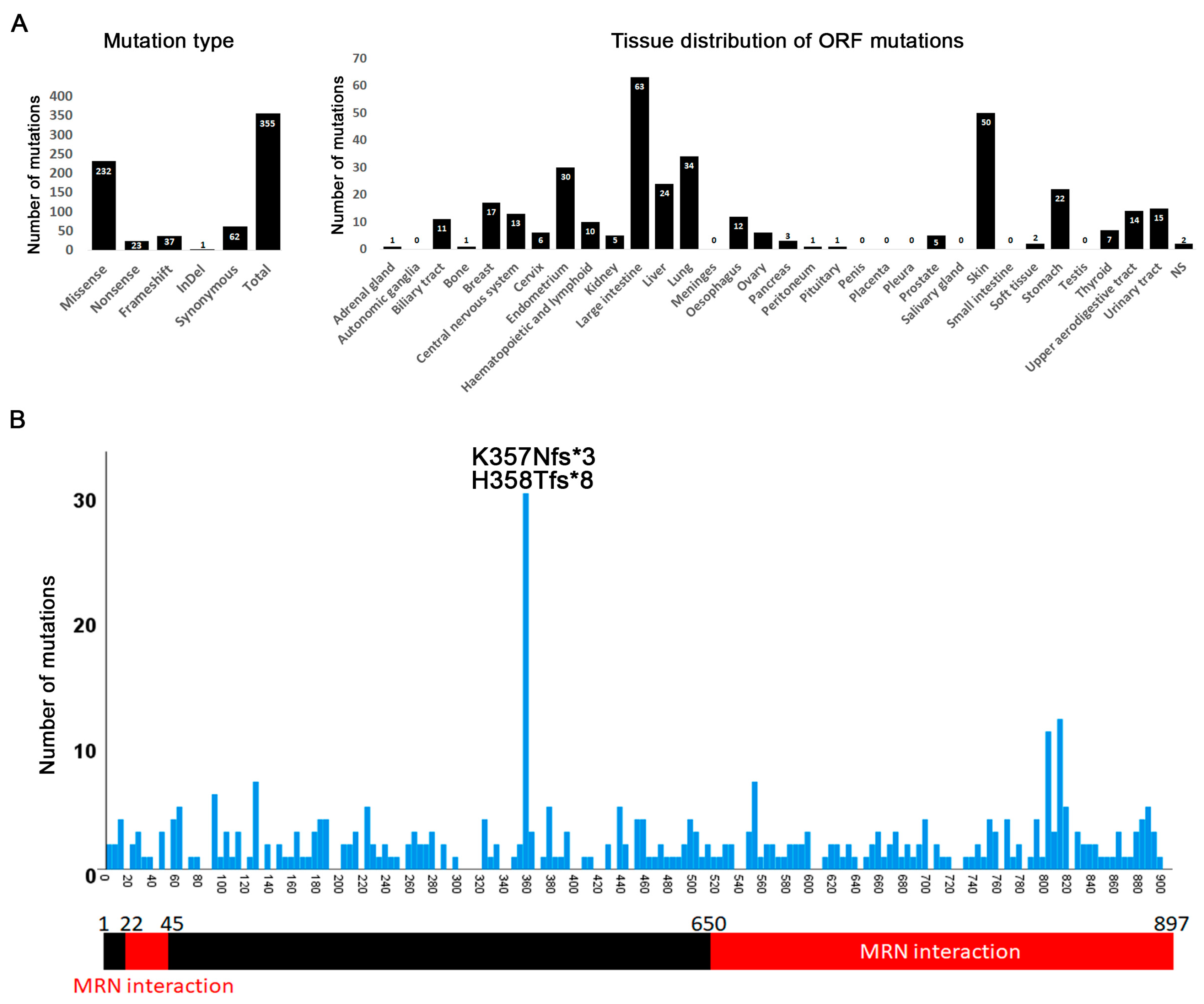 Cancers 12 03794 g008