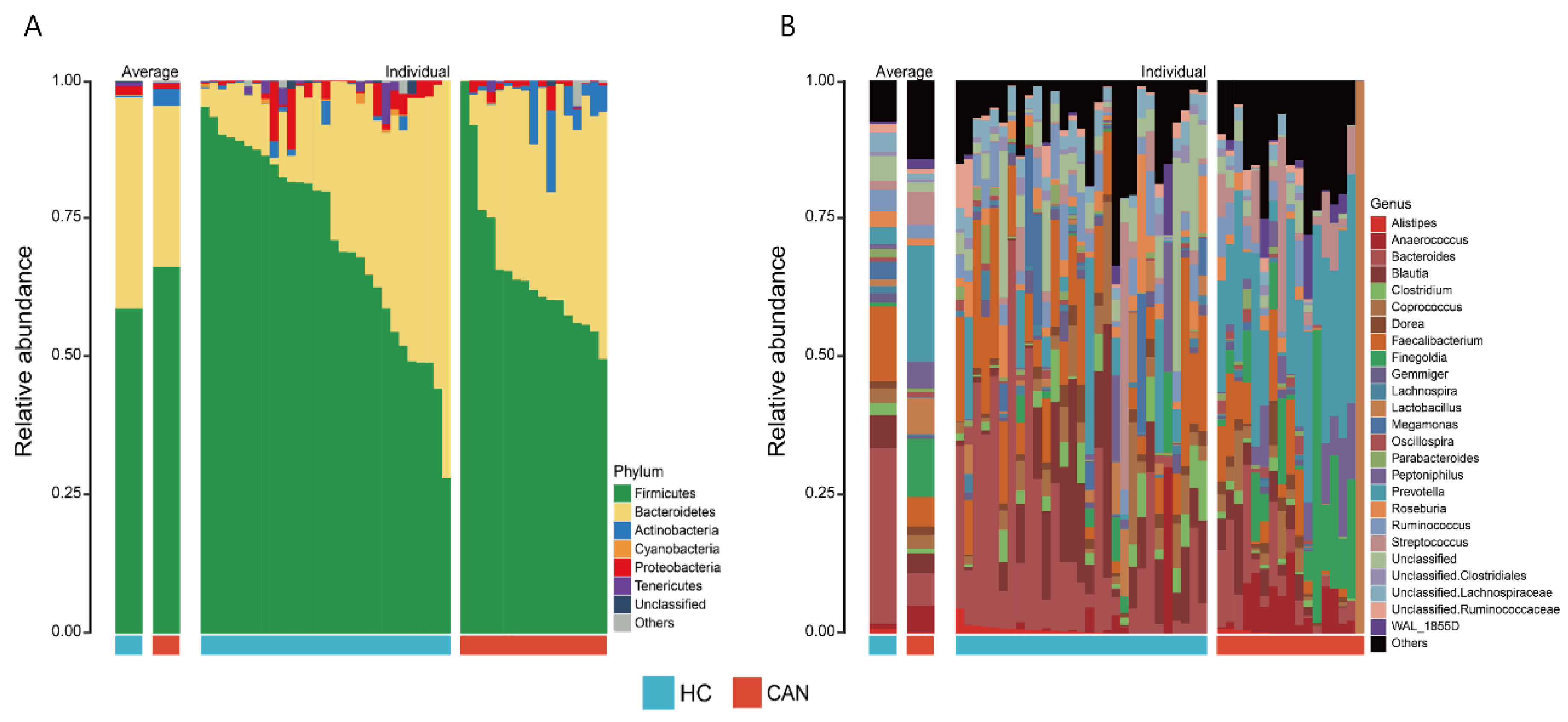 Cancers 12 03800 g001 Cancers 12 03800 g001