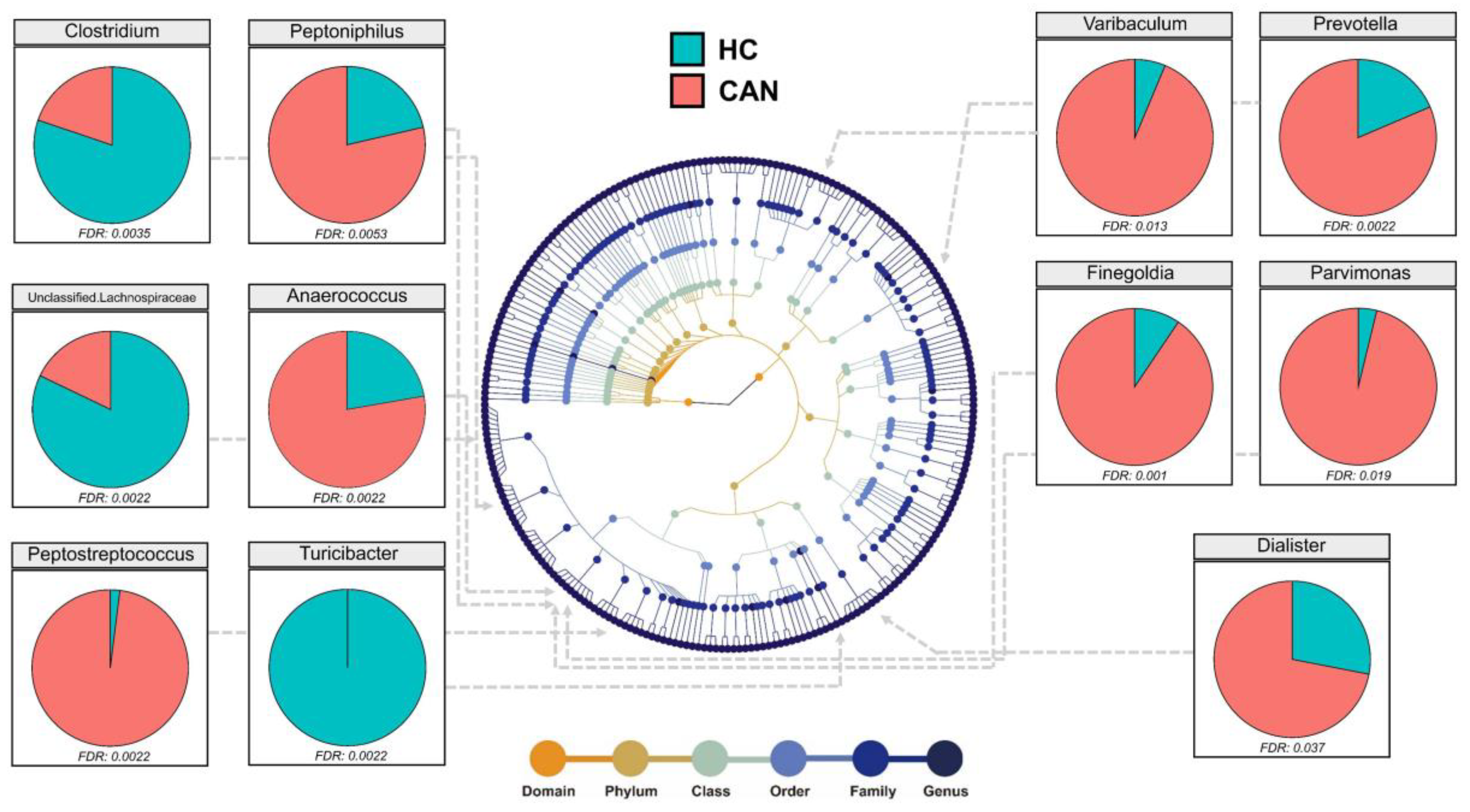 Cancers 12 03800 g003 Cancers 12 03800 g003